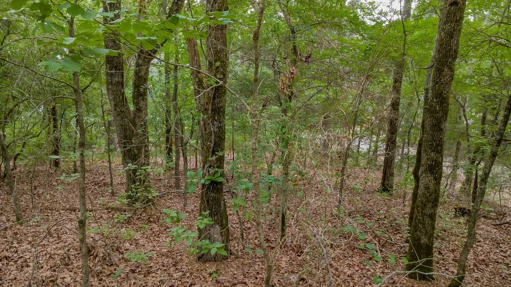 Unimproved Land For Sale in Smith County , 1714 Pineview Lane, Hideaway, Texas 75771, 0, 0, Garage spaces, 0 Sqft, built in 0, Price $29,000, mls#21254435, Real Estate Agent in Hideaway, Homes For Sale in Smith county, Homes For Sale in Hideaway, Realtor in Hideaway Texas, Real Estate Brokerage Independent Realty Texas, Luminita Cordes Realtor