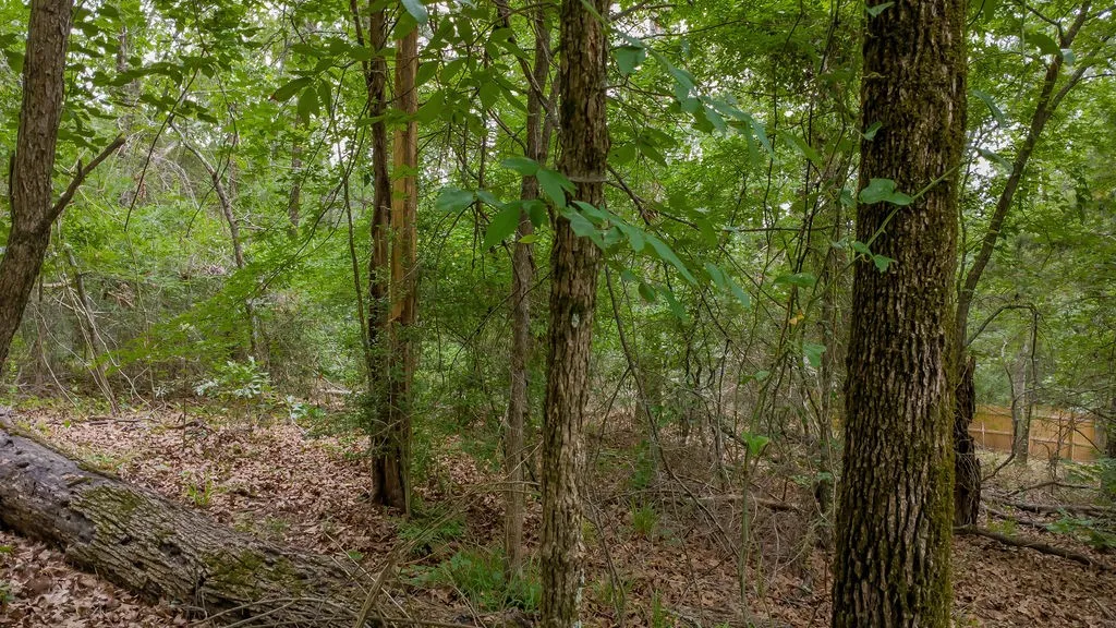 Unimproved Land For Sale in Smith County , 1714 Pineview Lane, Hideaway, Texas 75771, 0, 0, Garage spaces, 0 Sqft, built in 0, Price $29,000, mls#21254435, Real Estate Agent in Hideaway, Homes For Sale in Smith county, Homes For Sale in Hideaway, Realtor in Hideaway Texas, Real Estate Brokerage Independent Realty Texas, Luminita Cordes Realtor