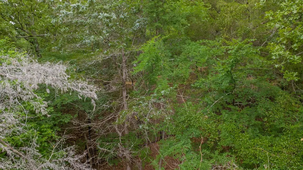 Unimproved Land For Sale in Smith County , 1714 Pineview Lane, Hideaway, Texas 75771, 0, 0, Garage spaces, 0 Sqft, built in 0, Price $29,000, mls#21254435, Real Estate Agent in Hideaway, Homes For Sale in Smith county, Homes For Sale in Hideaway, Realtor in Hideaway Texas, Real Estate Brokerage Independent Realty Texas, Luminita Cordes Realtor