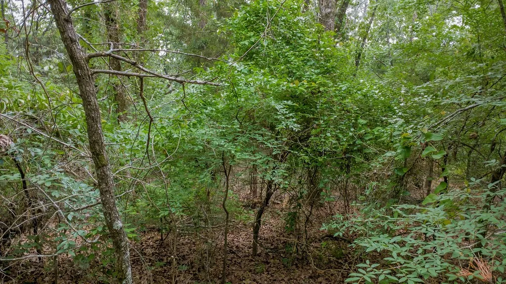 Unimproved Land For Sale in Smith County , 1714 Pineview Lane, Hideaway, Texas 75771, 0, 0, Garage spaces, 0 Sqft, built in 0, Price $29,000, mls#21254435, Real Estate Agent in Hideaway, Homes For Sale in Smith county, Homes For Sale in Hideaway, Realtor in Hideaway Texas, Real Estate Brokerage Independent Realty Texas, Luminita Cordes Realtor