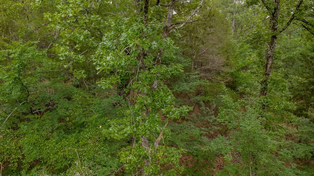 Unimproved Land For Sale in Smith County , 1714 Pineview Lane, Hideaway, Texas 75771, 0, 0, Garage spaces, 0 Sqft, built in 0, Price $29,000, mls#21254435, Real Estate Agent in Hideaway, Homes For Sale in Smith county, Homes For Sale in Hideaway, Realtor in Hideaway Texas, Real Estate Brokerage Independent Realty Texas, Luminita Cordes Realtor