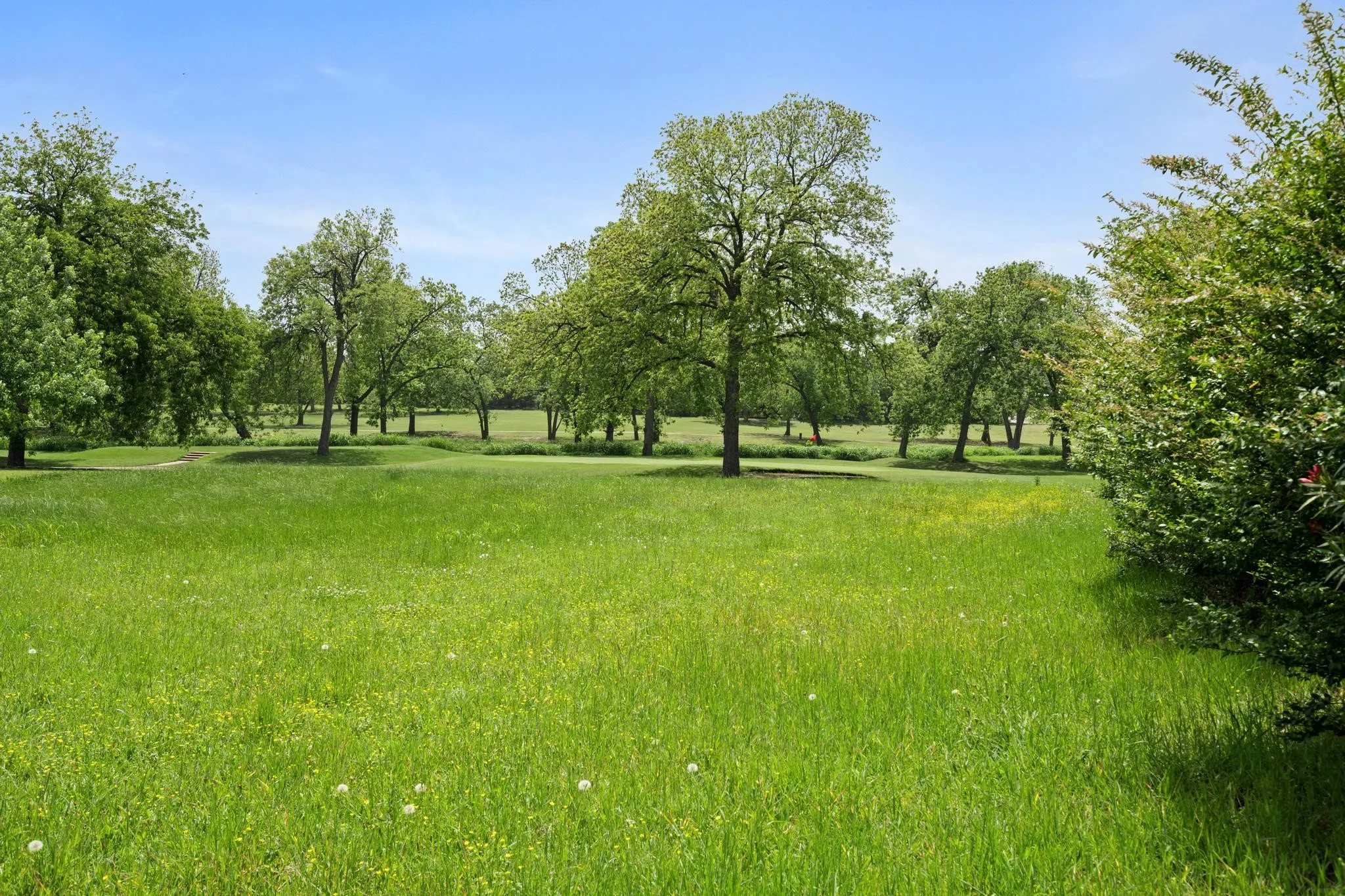 Improved Land For Sale in Fannin County , 1204 Pioneer Trail, Bonham, Texas 75418, 0, 0, Garage spaces, 0 Sqft, built in 0, mls#21251477, Real Estate Agent in Bonham, Homes For Sale in Fannin county, Homes For Sale in Bonham, Realtor in Bonham Texas, Real Estate Brokerage Independent Realty Texas, Luminita Cordes Realtor