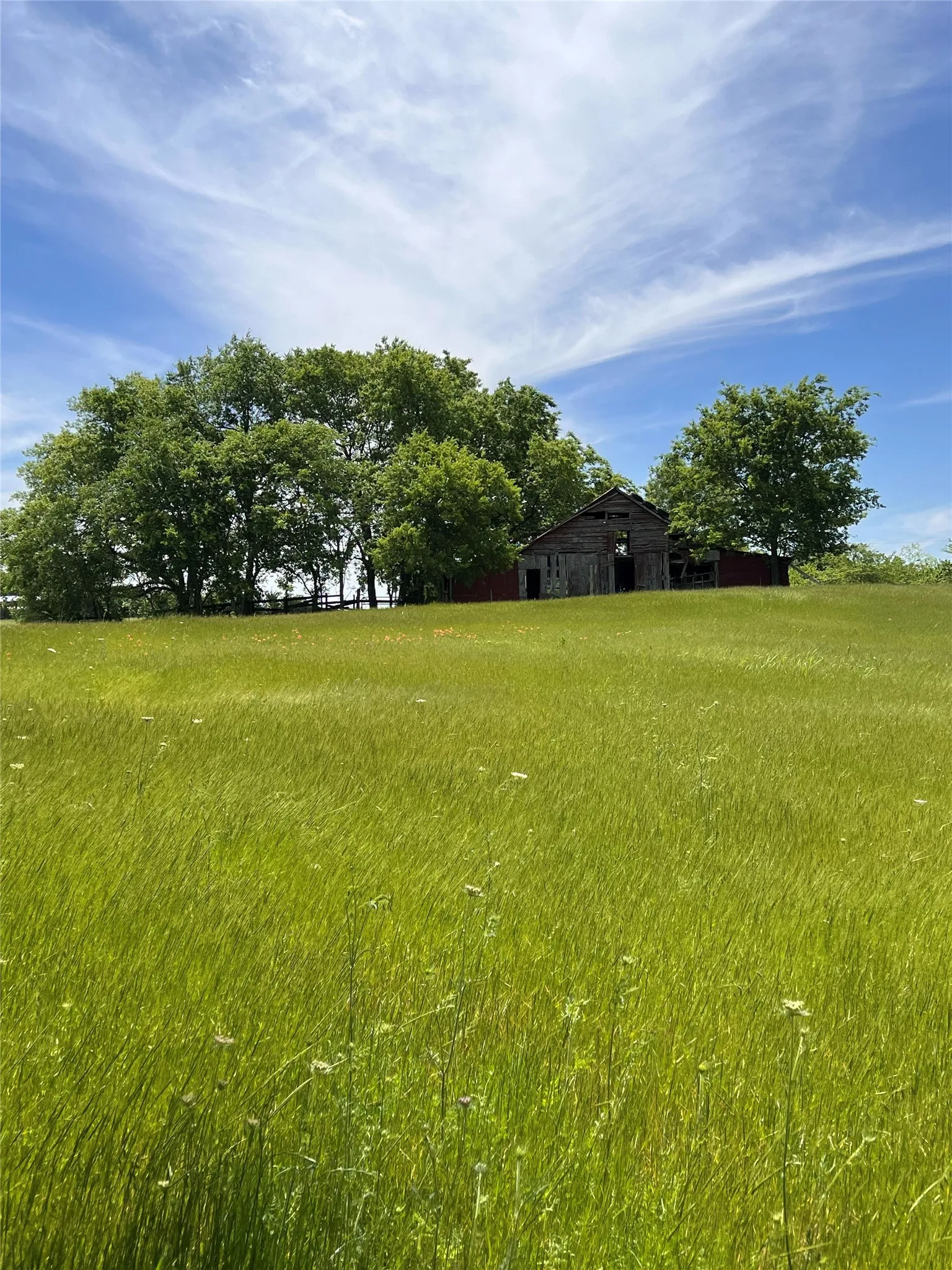 Expansive grassy field with an elevated, weathered barn and mature trees in the background