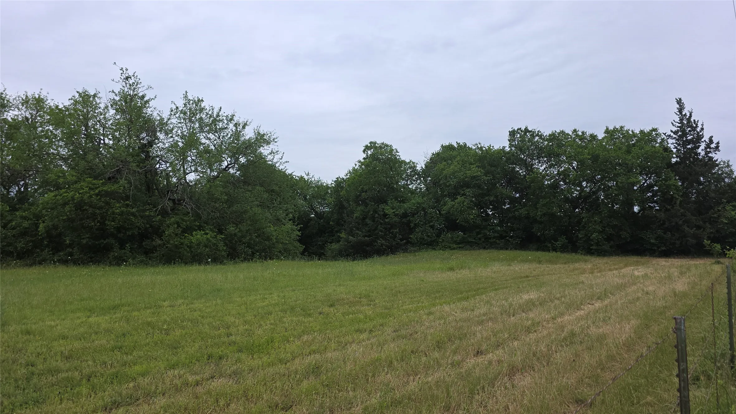 Expansive open field with green and golden grasses, bordered by a dense line of mature trees