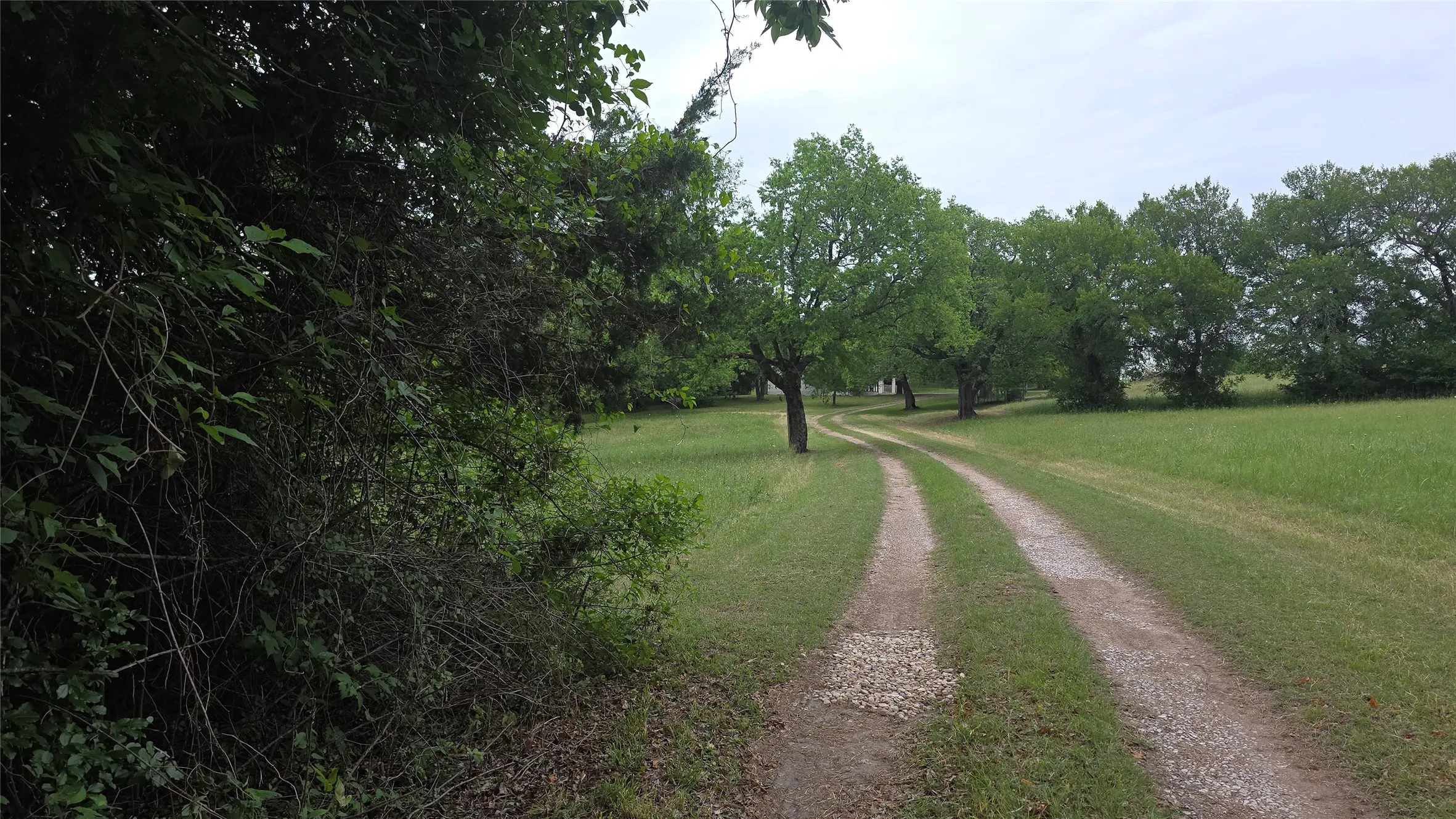 Gravel driveway bordered by manicured lawns and mature trees