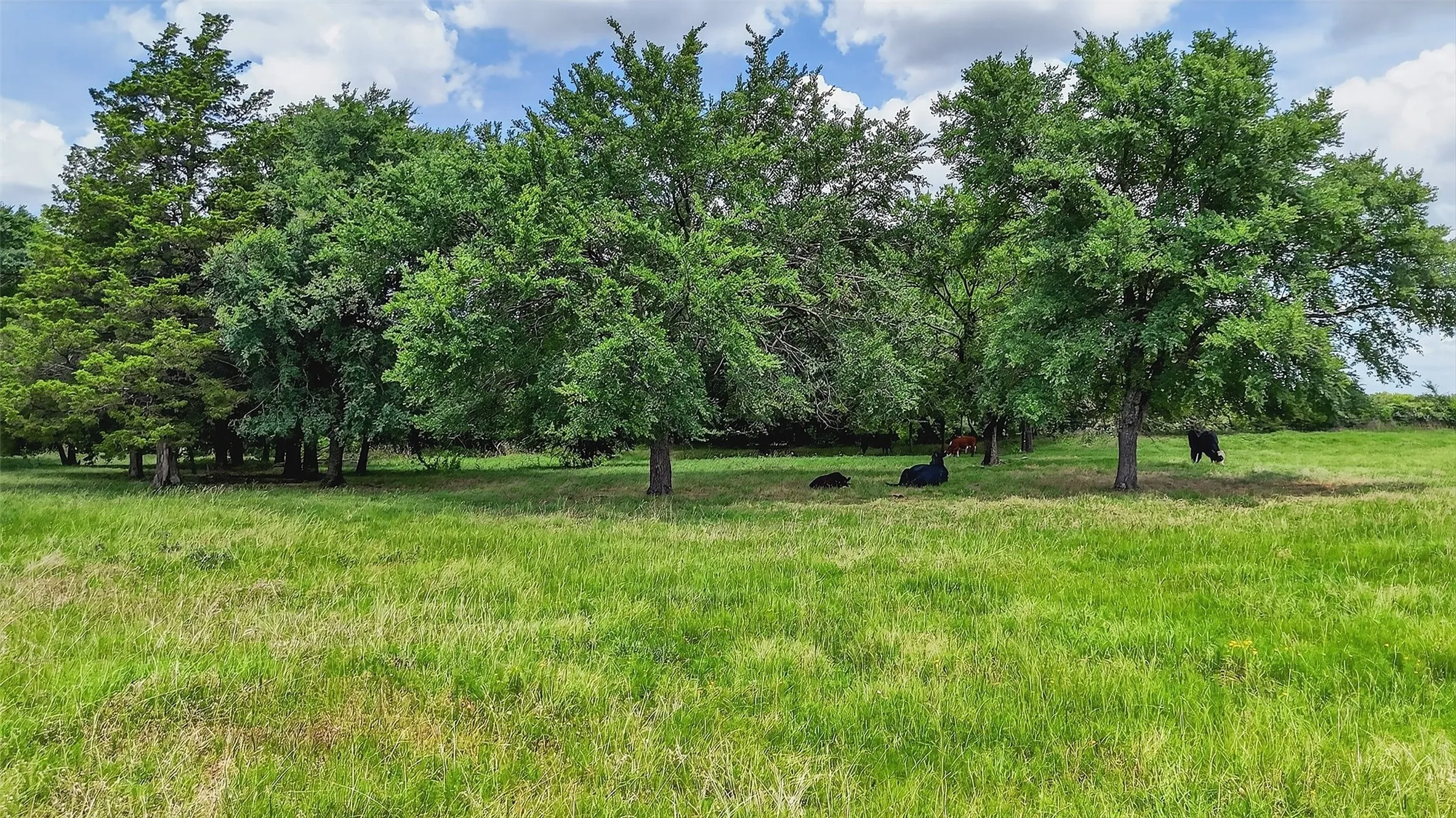 Manufactured Home For Sale in Grayson County , 2869 Ranch Road, Whitesboro, Texas 76273, 3 Bedroom, 2 Bathroom, Garage spaces, 1,512 Sqft, built in 2021, mls#21254269, Real Estate Agent in Whitesboro, Homes For Sale in Grayson county, Homes For Sale in Whitesboro, Realtor in Whitesboro Texas, Real Estate Brokerage Independent Realty Texas, Luminita Cordes Realtor