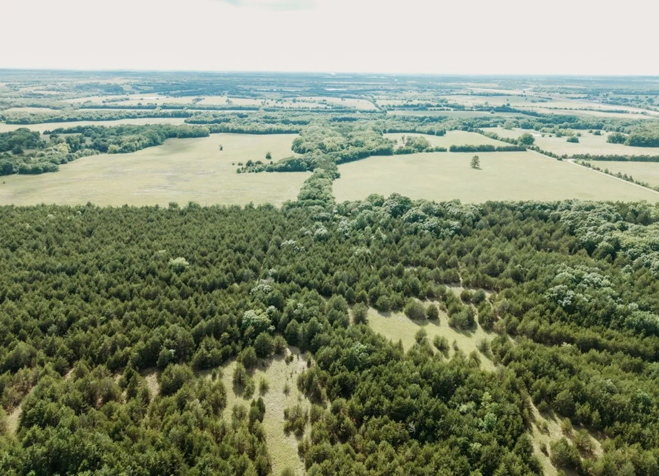 Unimproved Land For Sale in Fannin County , TBD CR 2975, Honey Grove, Texas 75446, 0, 0, Garage spaces, 0 Sqft, built in 0, mls#21254519, Real Estate Agent in Honey Grove, Homes For Sale in Fannin county, Homes For Sale in Honey Grove, Realtor in Honey Grove Texas, Real Estate Brokerage Independent Realty Texas, Luminita Cordes Realtor