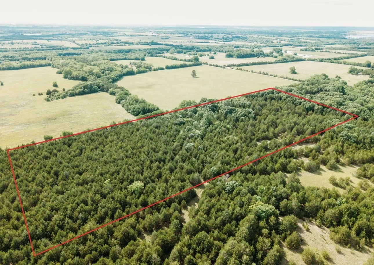 Unimproved Land For Sale in Fannin County , TBD CR 2975, Honey Grove, Texas 75446, 0, 0, Garage spaces, 0 Sqft, built in 0, mls#21254519, Real Estate Agent in Honey Grove, Homes For Sale in Fannin county, Homes For Sale in Honey Grove, Realtor in Honey Grove Texas, Real Estate Brokerage Independent Realty Texas, Luminita Cordes Realtor