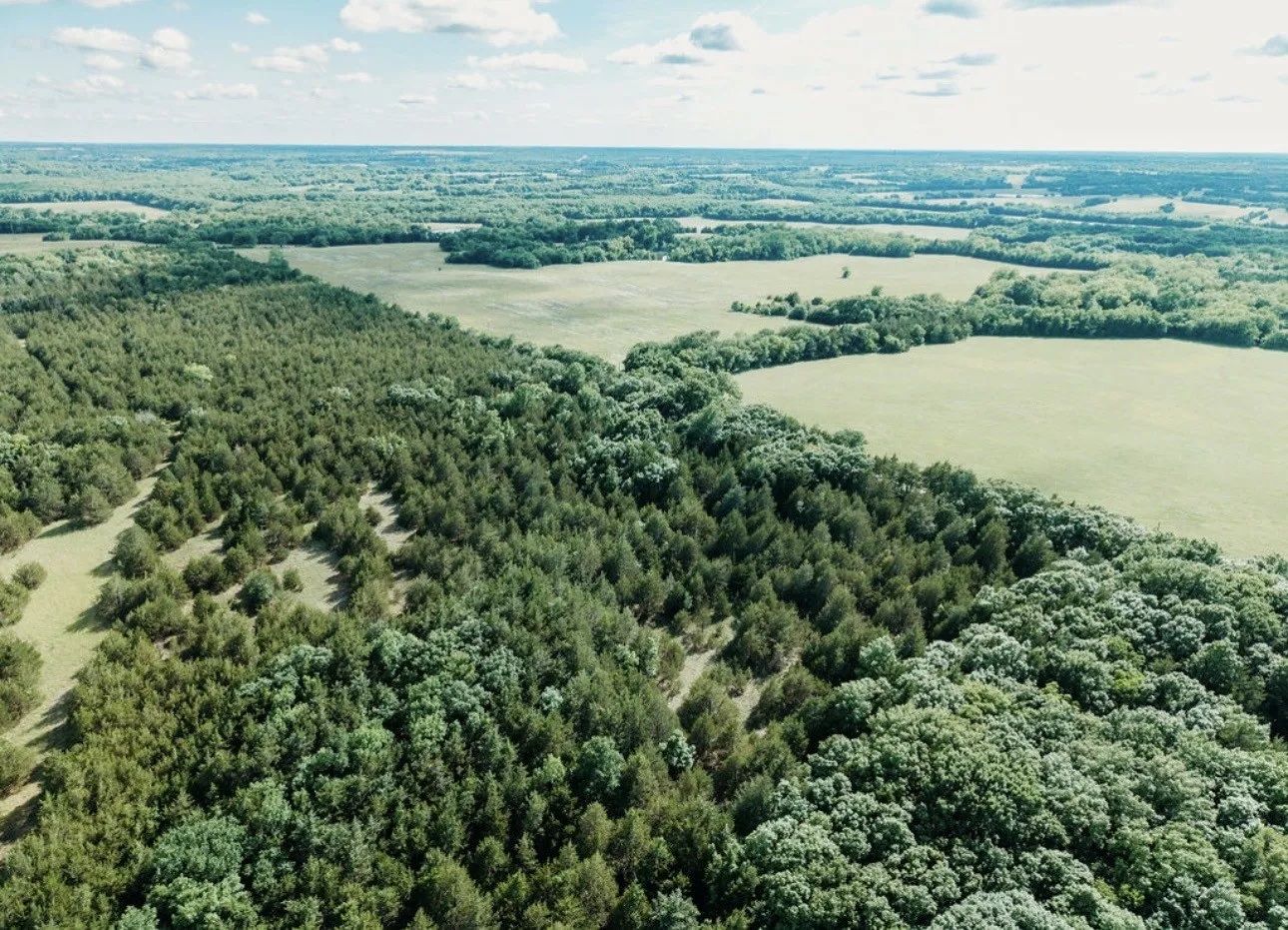 Unimproved Land For Sale in Fannin County , TBD CR 2975, Honey Grove, Texas 75446, 0, 0, Garage spaces, 0 Sqft, built in 0, mls#21254519, Real Estate Agent in Honey Grove, Homes For Sale in Fannin county, Homes For Sale in Honey Grove, Realtor in Honey Grove Texas, Real Estate Brokerage Independent Realty Texas, Luminita Cordes Realtor