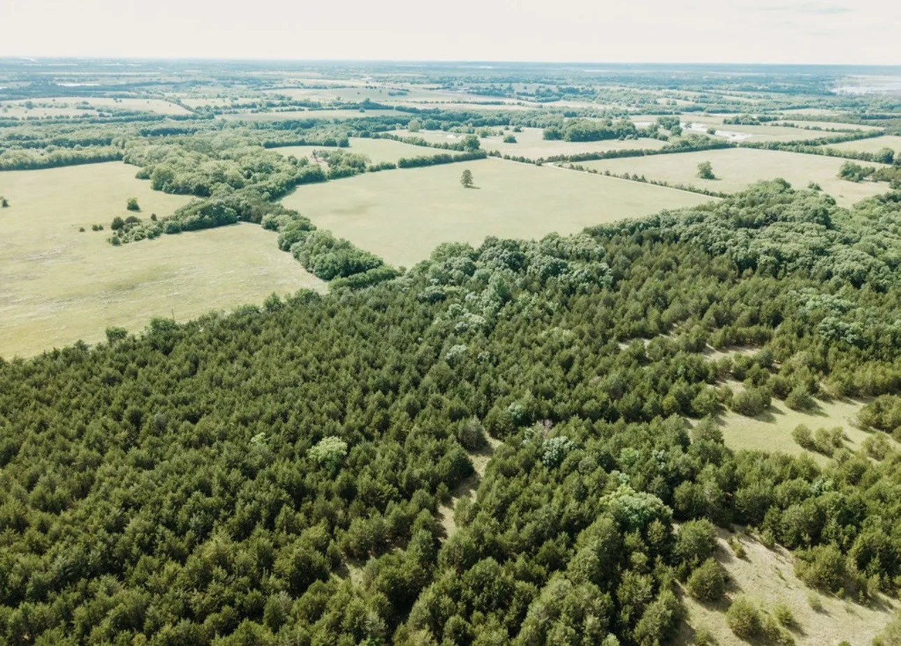 Unimproved Land For Sale in Fannin County , TBD CR 2975, Honey Grove, Texas 75446, 0, 0, Garage spaces, 0 Sqft, built in 0, mls#21254519, Real Estate Agent in Honey Grove, Homes For Sale in Fannin county, Homes For Sale in Honey Grove, Realtor in Honey Grove Texas, Real Estate Brokerage Independent Realty Texas, Luminita Cordes Realtor