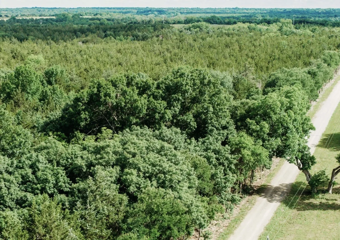 Unimproved Land For Sale in Fannin County , TBD CR 2975, Honey Grove, Texas 75446, 0, 0, Garage spaces, 0 Sqft, built in 0, mls#21254519, Real Estate Agent in Honey Grove, Homes For Sale in Fannin county, Homes For Sale in Honey Grove, Realtor in Honey Grove Texas, Real Estate Brokerage Independent Realty Texas, Luminita Cordes Realtor