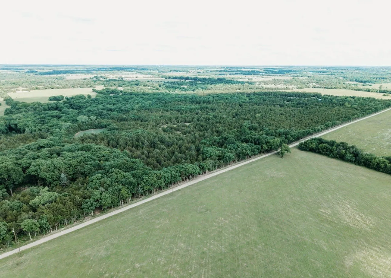 Unimproved Land For Sale in Fannin County , TBD CR 2975, Honey Grove, Texas 75446, 0, 0, Garage spaces, 0 Sqft, built in 0, mls#21254519, Real Estate Agent in Honey Grove, Homes For Sale in Fannin county, Homes For Sale in Honey Grove, Realtor in Honey Grove Texas, Real Estate Brokerage Independent Realty Texas, Luminita Cordes Realtor