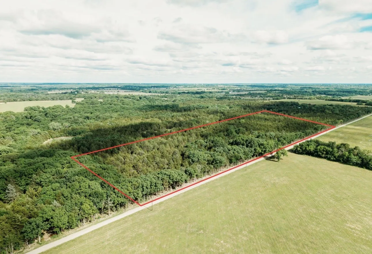 Unimproved Land For Sale in Fannin County , TBD CR 2975, Honey Grove, Texas 75446, 0, 0, Garage spaces, 0 Sqft, built in 0, mls#21254519, Real Estate Agent in Honey Grove, Homes For Sale in Fannin county, Homes For Sale in Honey Grove, Realtor in Honey Grove Texas, Real Estate Brokerage Independent Realty Texas, Luminita Cordes Realtor
