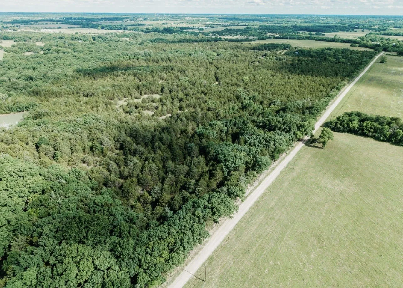 Unimproved Land For Sale in Fannin County , TBD CR 2975, Honey Grove, Texas 75446, 0, 0, Garage spaces, 0 Sqft, built in 0, mls#21254519, Real Estate Agent in Honey Grove, Homes For Sale in Fannin county, Homes For Sale in Honey Grove, Realtor in Honey Grove Texas, Real Estate Brokerage Independent Realty Texas, Luminita Cordes Realtor