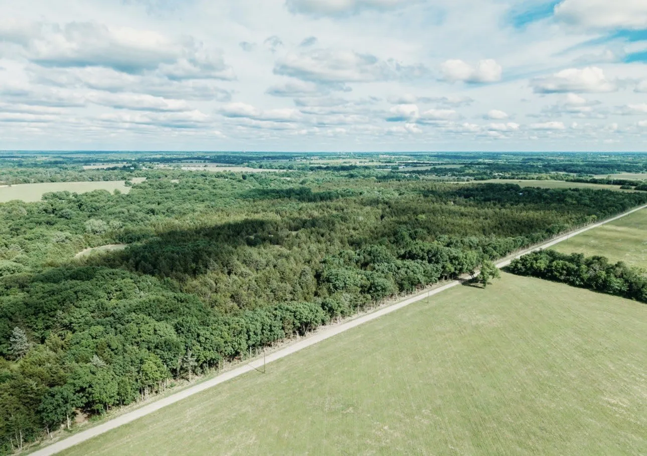 Unimproved Land For Sale in Fannin County , TBD CR 2975, Honey Grove, Texas 75446, 0, 0, Garage spaces, 0 Sqft, built in 0, mls#21254519, Real Estate Agent in Honey Grove, Homes For Sale in Fannin county, Homes For Sale in Honey Grove, Realtor in Honey Grove Texas, Real Estate Brokerage Independent Realty Texas, Luminita Cordes Realtor
