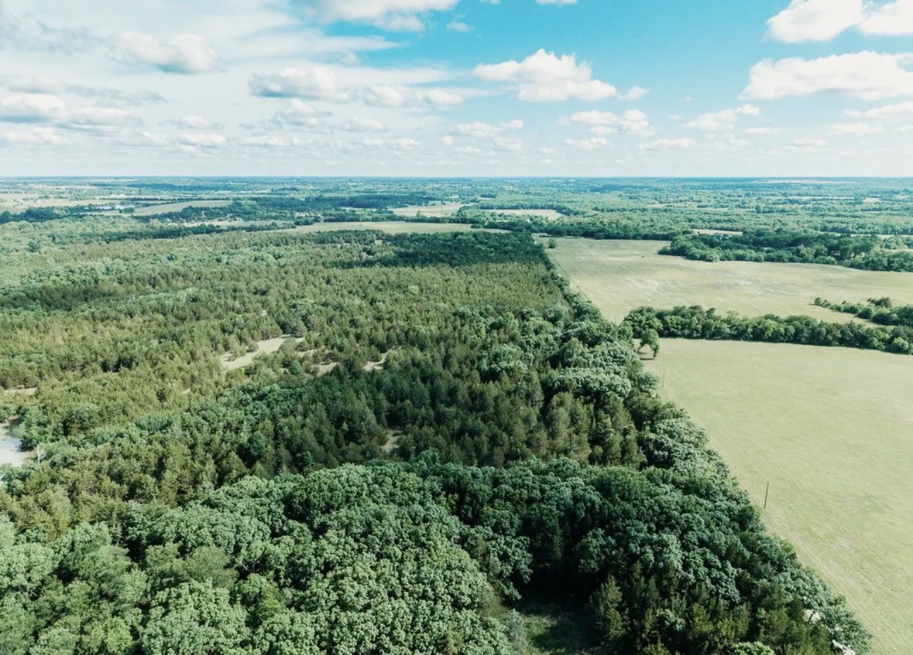 Unimproved Land For Sale in Fannin County , TBD CR 2975, Honey Grove, Texas 75446, 0, 0, Garage spaces, 0 Sqft, built in 0, mls#21254519, Real Estate Agent in Honey Grove, Homes For Sale in Fannin county, Homes For Sale in Honey Grove, Realtor in Honey Grove Texas, Real Estate Brokerage Independent Realty Texas, Luminita Cordes Realtor