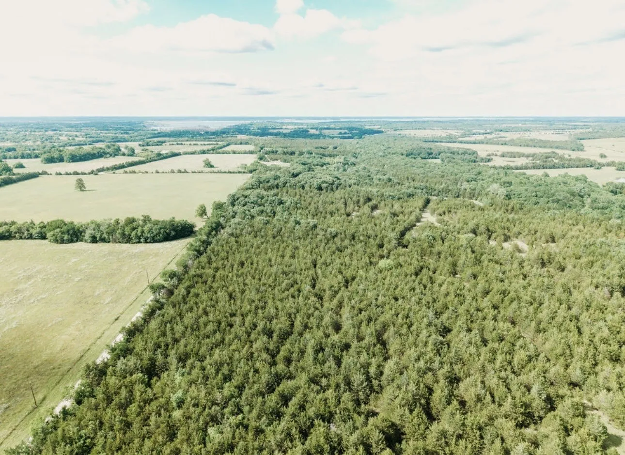 Unimproved Land For Sale in Fannin County , TBD CR 2975, Honey Grove, Texas 75446, 0, 0, Garage spaces, 0 Sqft, built in 0, mls#21254519, Real Estate Agent in Honey Grove, Homes For Sale in Fannin county, Homes For Sale in Honey Grove, Realtor in Honey Grove Texas, Real Estate Brokerage Independent Realty Texas, Luminita Cordes Realtor