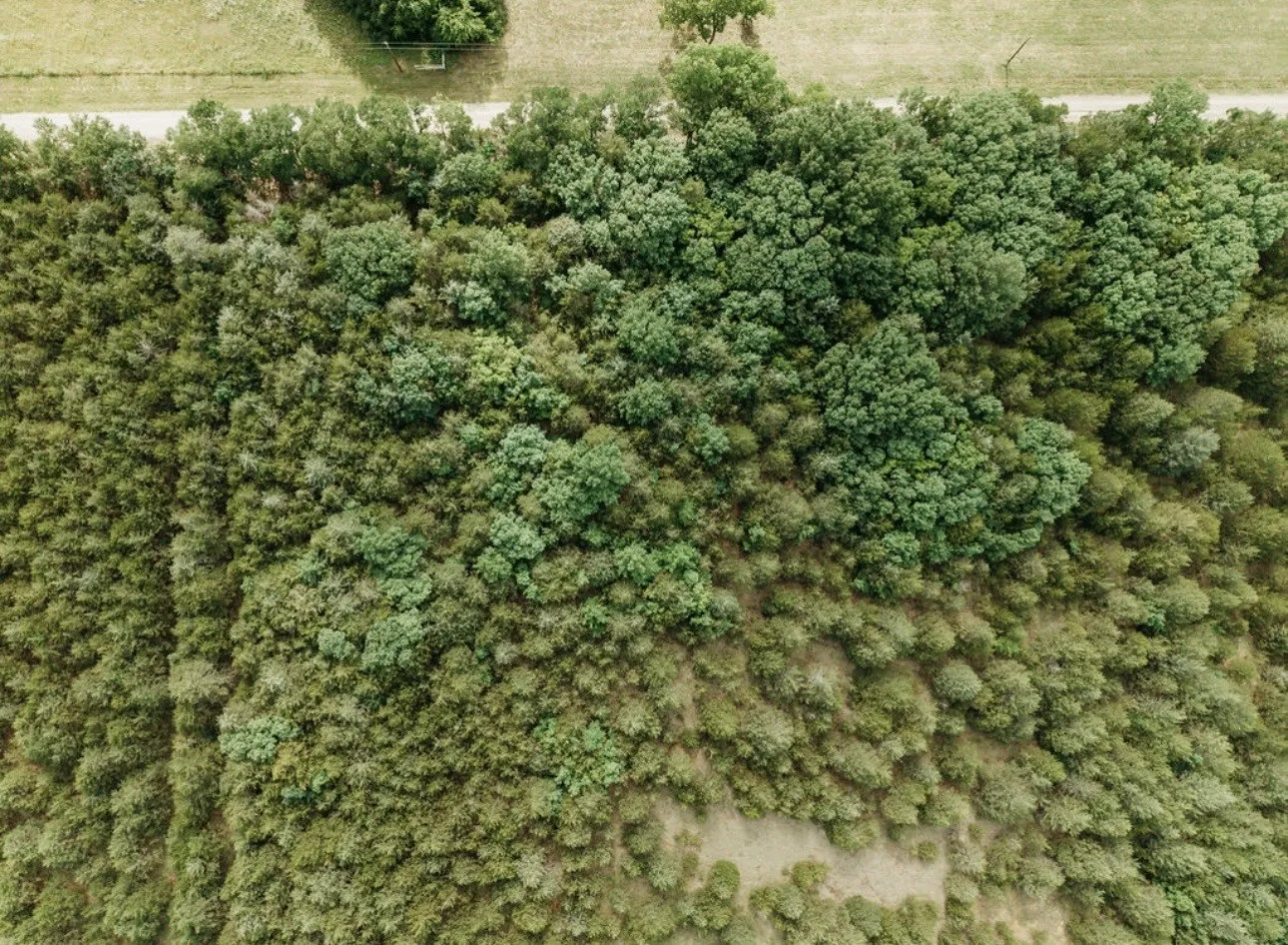 Unimproved Land For Sale in Fannin County , TBD CR 2975, Honey Grove, Texas 75446, 0, 0, Garage spaces, 0 Sqft, built in 0, mls#21254519, Real Estate Agent in Honey Grove, Homes For Sale in Fannin county, Homes For Sale in Honey Grove, Realtor in Honey Grove Texas, Real Estate Brokerage Independent Realty Texas, Luminita Cordes Realtor