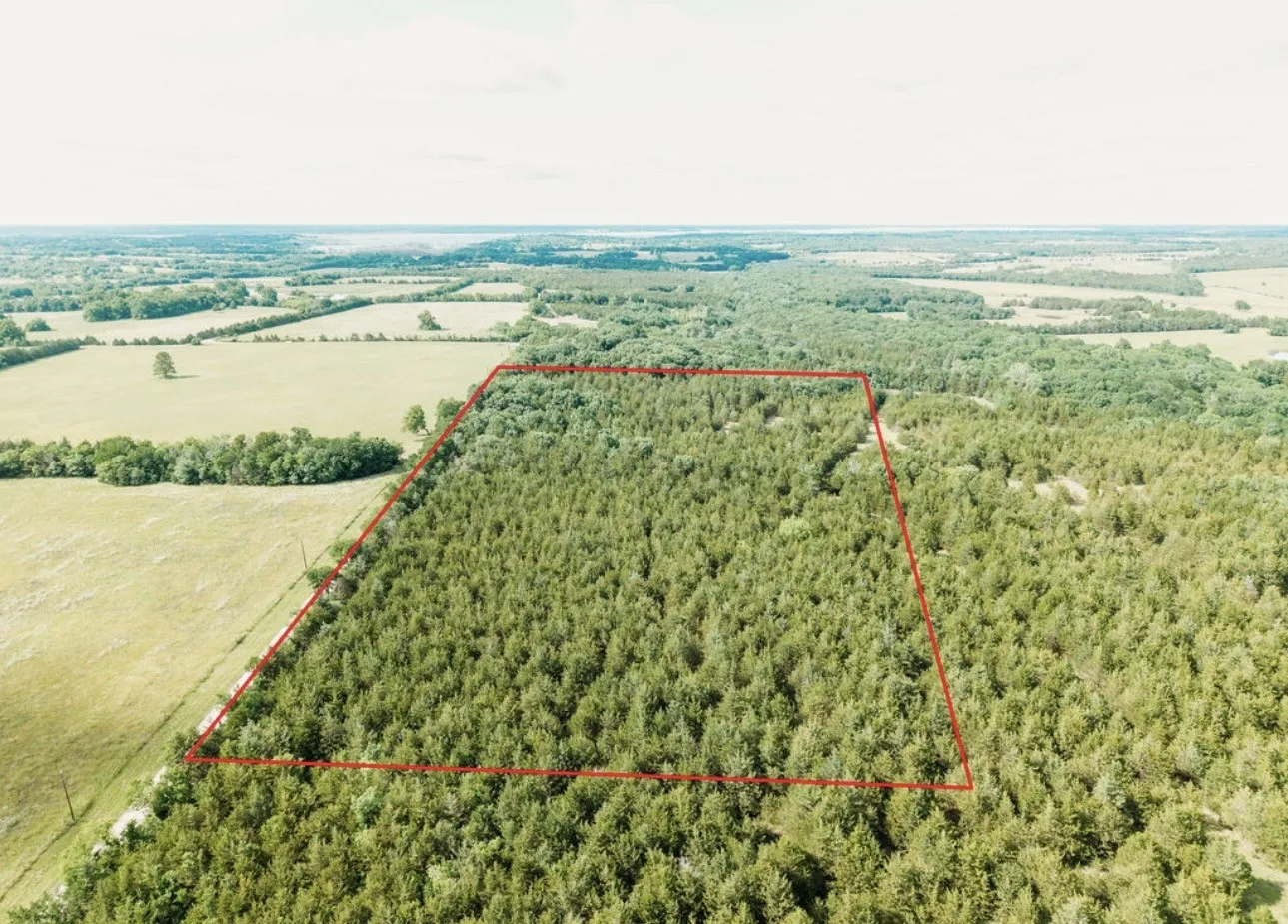 Unimproved Land For Sale in Fannin County , TBD CR 2975, Honey Grove, Texas 75446, 0, 0, Garage spaces, 0 Sqft, built in 0, mls#21254519, Real Estate Agent in Honey Grove, Homes For Sale in Fannin county, Homes For Sale in Honey Grove, Realtor in Honey Grove Texas, Real Estate Brokerage Independent Realty Texas, Luminita Cordes Realtor