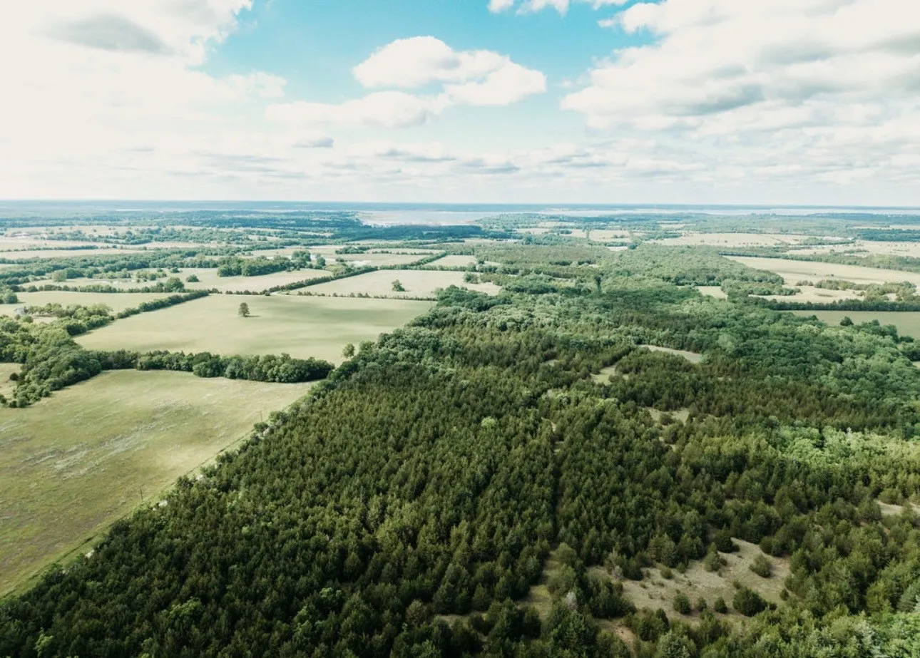 Unimproved Land For Sale in Fannin County , TBD CR 2975, Honey Grove, Texas 75446, 0, 0, Garage spaces, 0 Sqft, built in 0, mls#21254519, Real Estate Agent in Honey Grove, Homes For Sale in Fannin county, Homes For Sale in Honey Grove, Realtor in Honey Grove Texas, Real Estate Brokerage Independent Realty Texas, Luminita Cordes Realtor