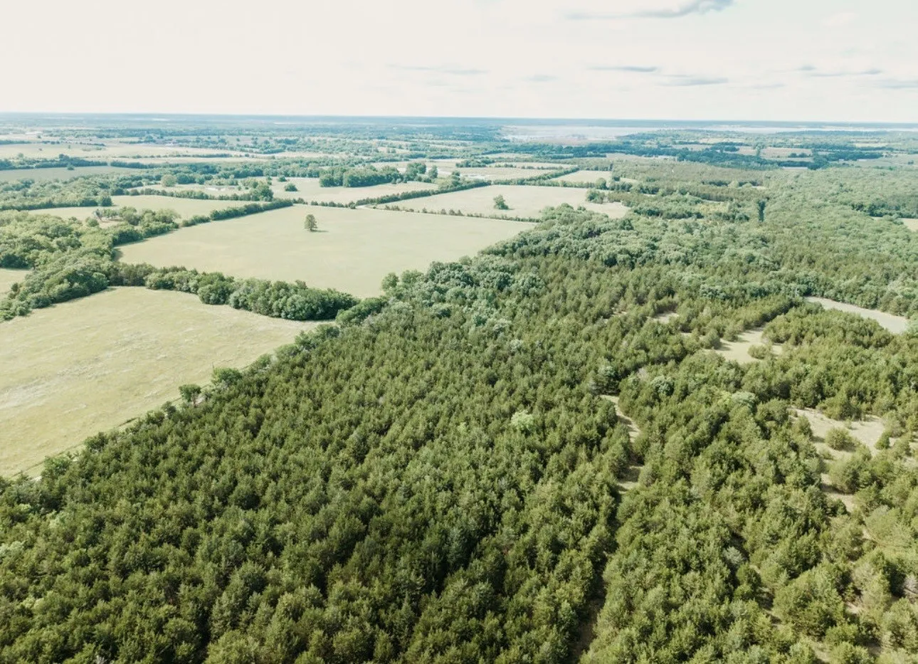 Unimproved Land For Sale in Fannin County , TBD CR 2975, Honey Grove, Texas 75446, 0, 0, Garage spaces, 0 Sqft, built in 0, mls#21254519, Real Estate Agent in Honey Grove, Homes For Sale in Fannin county, Homes For Sale in Honey Grove, Realtor in Honey Grove Texas, Real Estate Brokerage Independent Realty Texas, Luminita Cordes Realtor