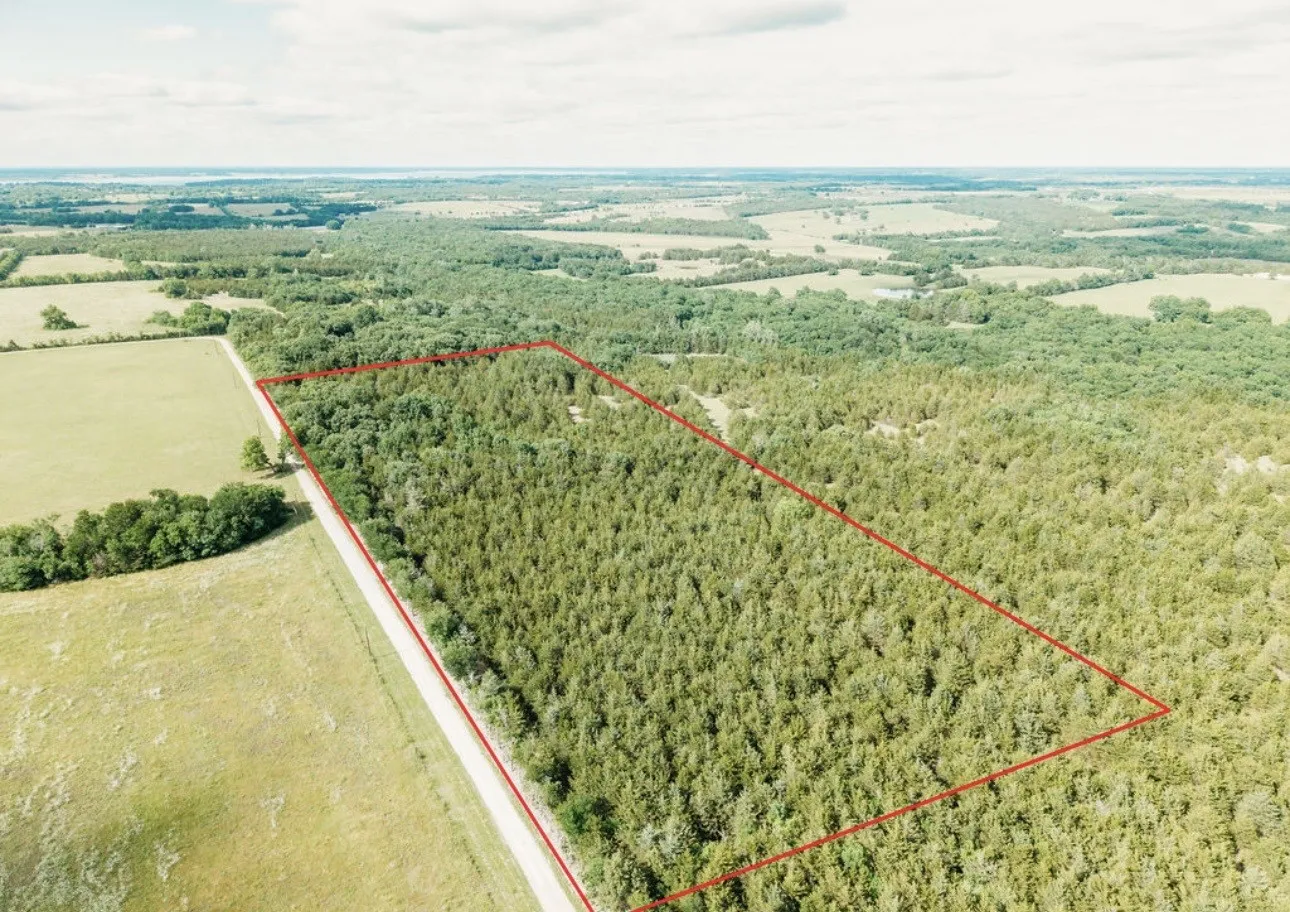Unimproved Land For Sale in Fannin County , TBD CR 2975, Honey Grove, Texas 75446, 0, 0, Garage spaces, 0 Sqft, built in 0, mls#21254519, Real Estate Agent in Honey Grove, Homes For Sale in Fannin county, Homes For Sale in Honey Grove, Realtor in Honey Grove Texas, Real Estate Brokerage Independent Realty Texas, Luminita Cordes Realtor