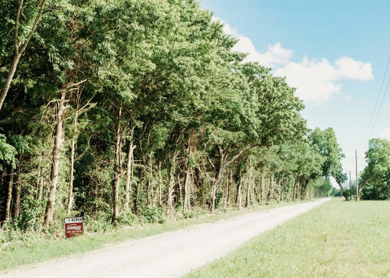 Unimproved Land For Sale in Fannin County , TBD CR 2975, Honey Grove, Texas 75446, 0, 0, Garage spaces, 0 Sqft, built in 0, mls#21254519, Real Estate Agent in Honey Grove, Homes For Sale in Fannin county, Homes For Sale in Honey Grove, Realtor in Honey Grove Texas, Real Estate Brokerage Independent Realty Texas, Luminita Cordes Realtor