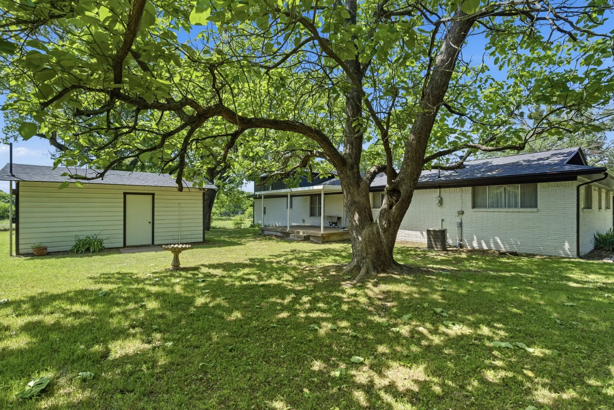 Spacious green lawn with mature shade trees, a detached storage building, and a rear patio