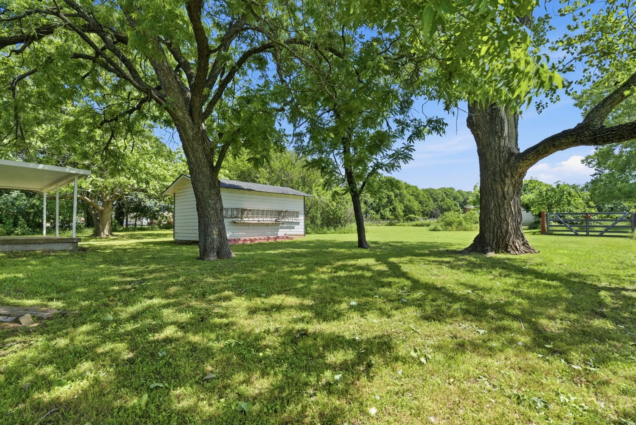 Expansive green lawn framed by mature trees, featuring a white detached shed with a dark roof and a covered patio area
