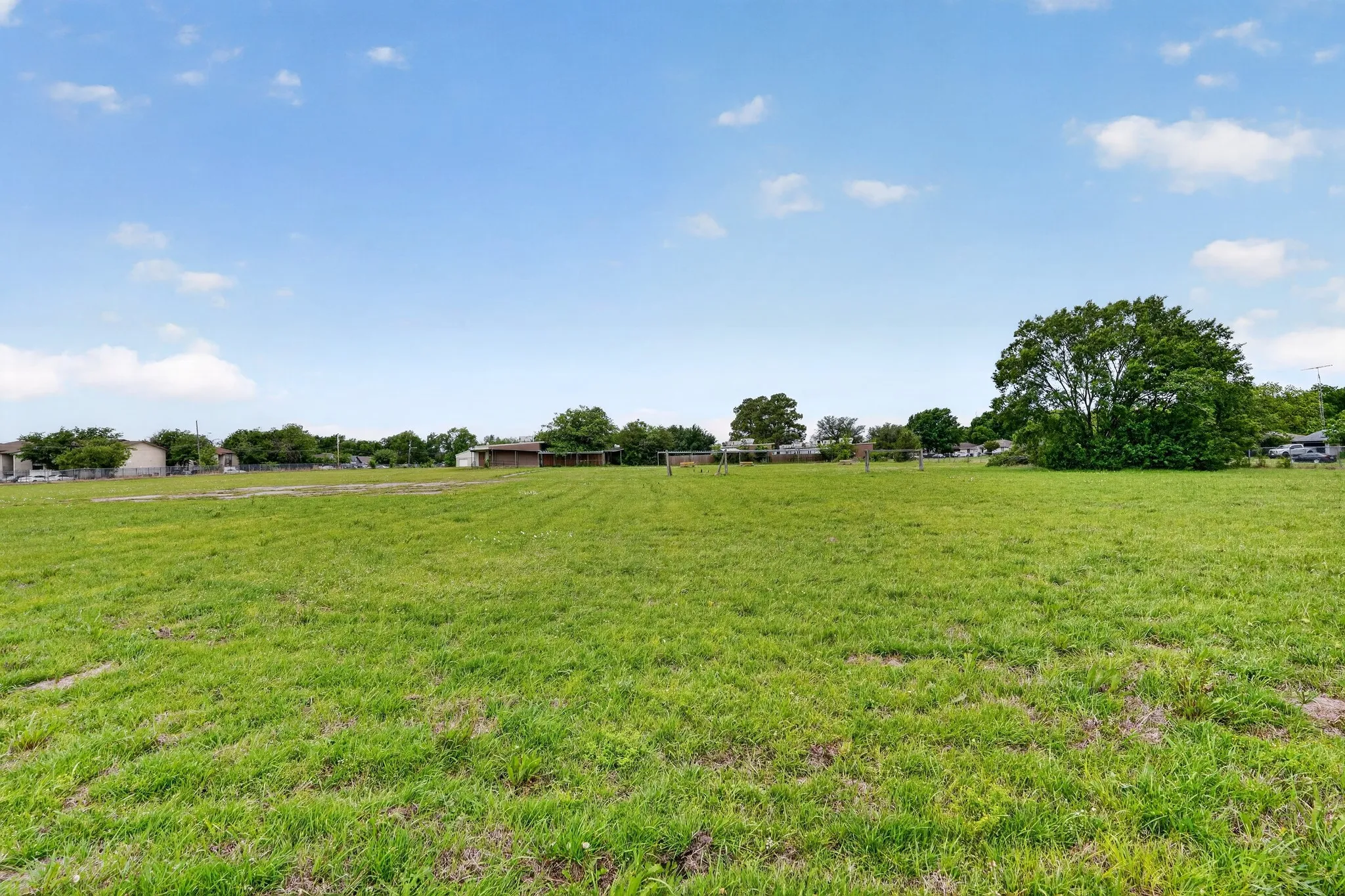 Expansive green space featuring a large mature tree