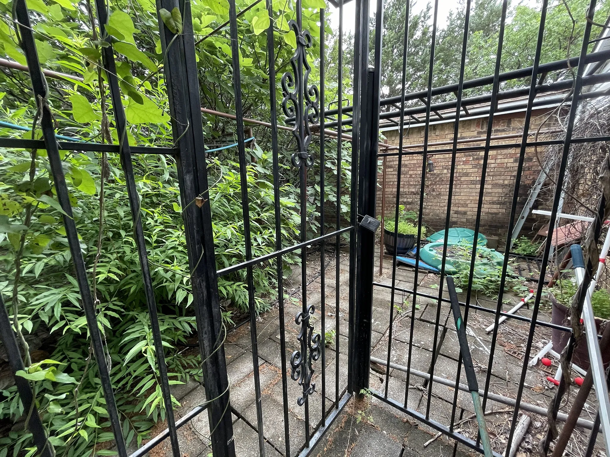Black wrought iron gate with decorative scrollwork, set against lush green foliage and brickwork