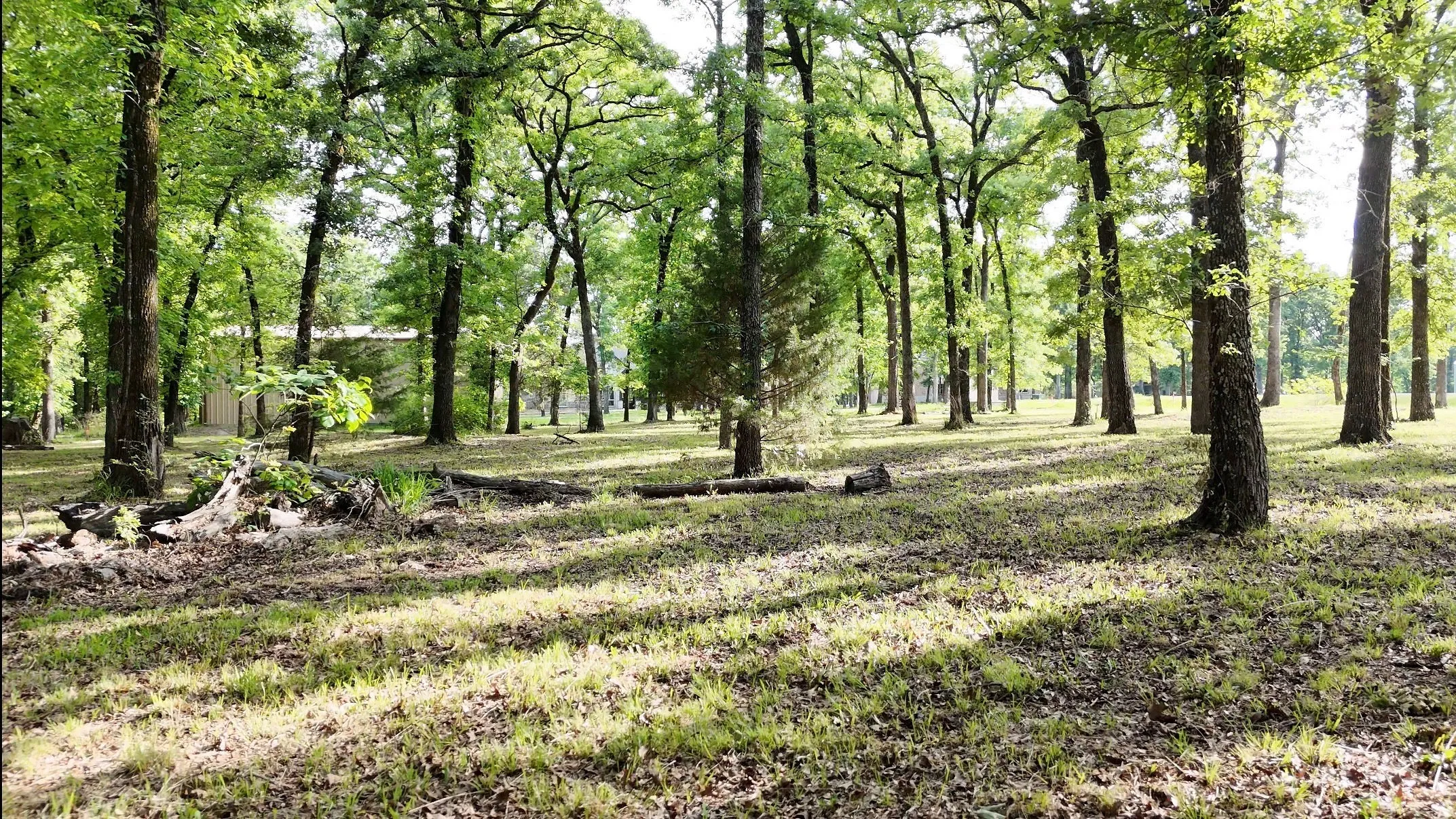 Unimproved Land For Sale in Hunt County , Lot 62 Anchor Point, Quinlan, Texas 75474, 0, 0, Garage spaces, 0 Sqft, built in 0, mls#21251883, Real Estate Agent in Quinlan, Homes For Sale in Hunt county, Homes For Sale in Quinlan, Realtor in Quinlan Texas, Real Estate Brokerage Independent Realty Texas, Luminita Cordes Realtor
