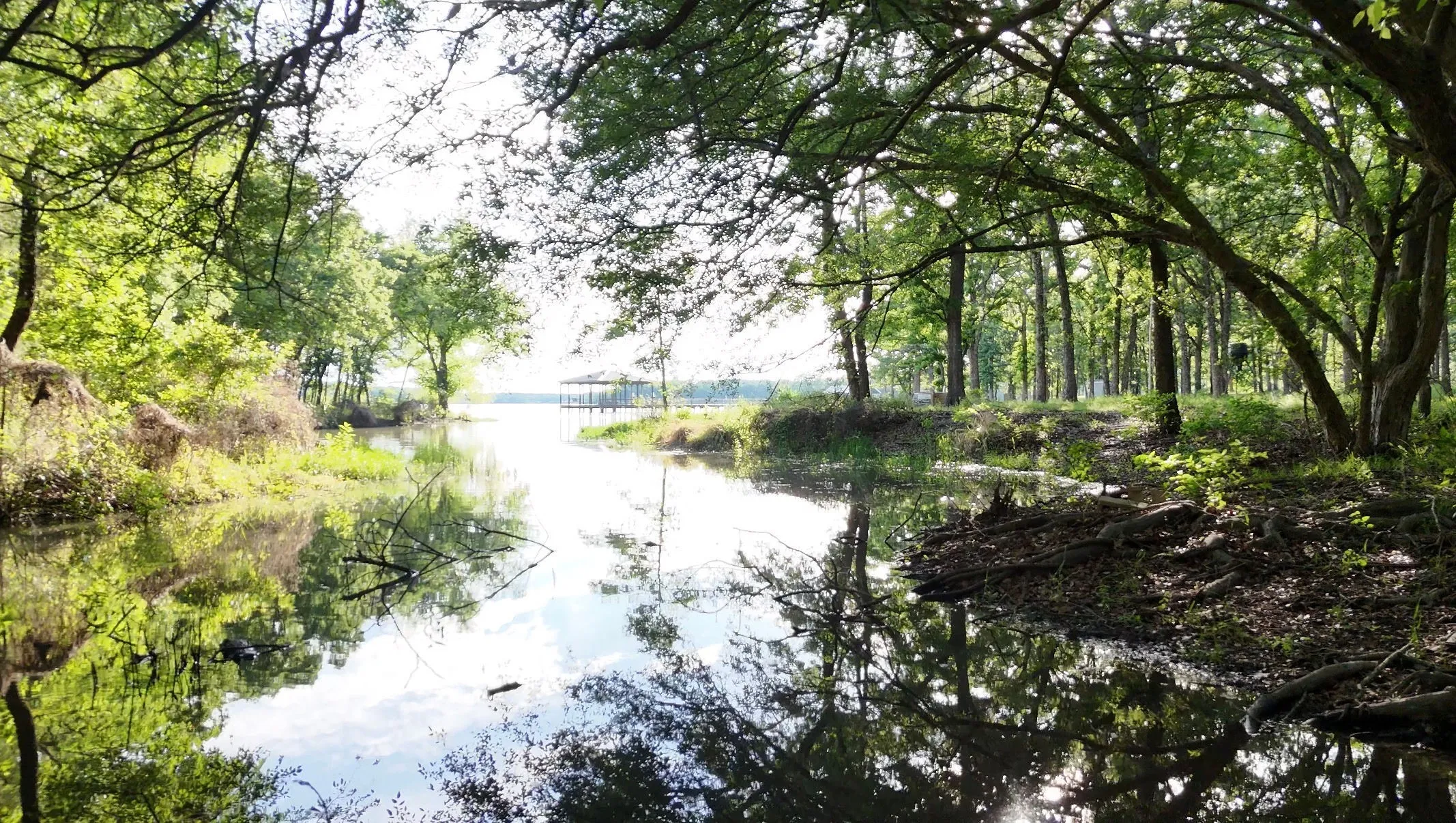 Canal/Creek. SRA is shoreline to the left and continues around to the left approx. 700 feet.