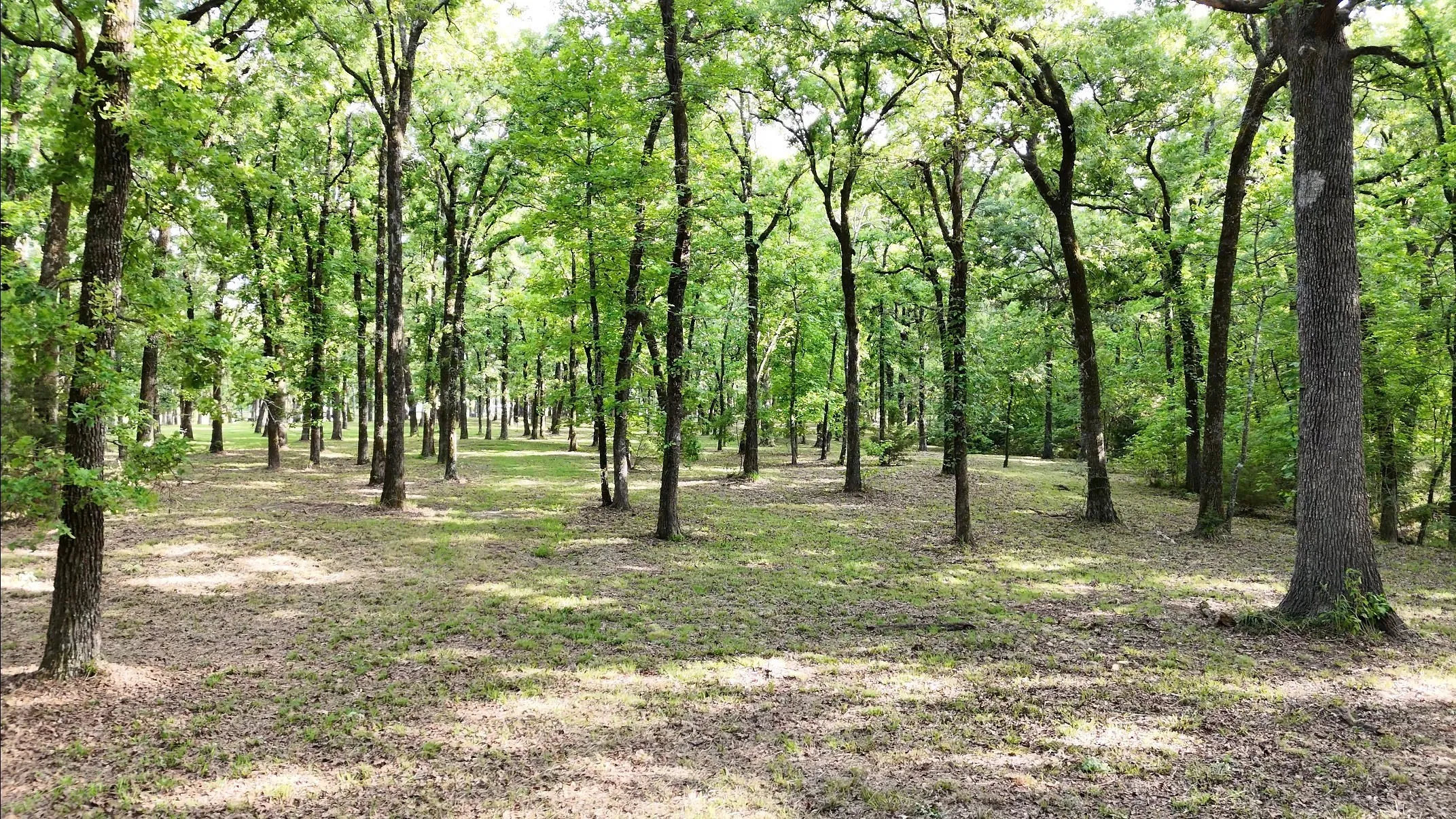 Unimproved Land For Sale in Hunt County , Lot 62 Anchor Point, Quinlan, Texas 75474, 0, 0, Garage spaces, 0 Sqft, built in 0, mls#21251883, Real Estate Agent in Quinlan, Homes For Sale in Hunt county, Homes For Sale in Quinlan, Realtor in Quinlan Texas, Real Estate Brokerage Independent Realty Texas, Luminita Cordes Realtor