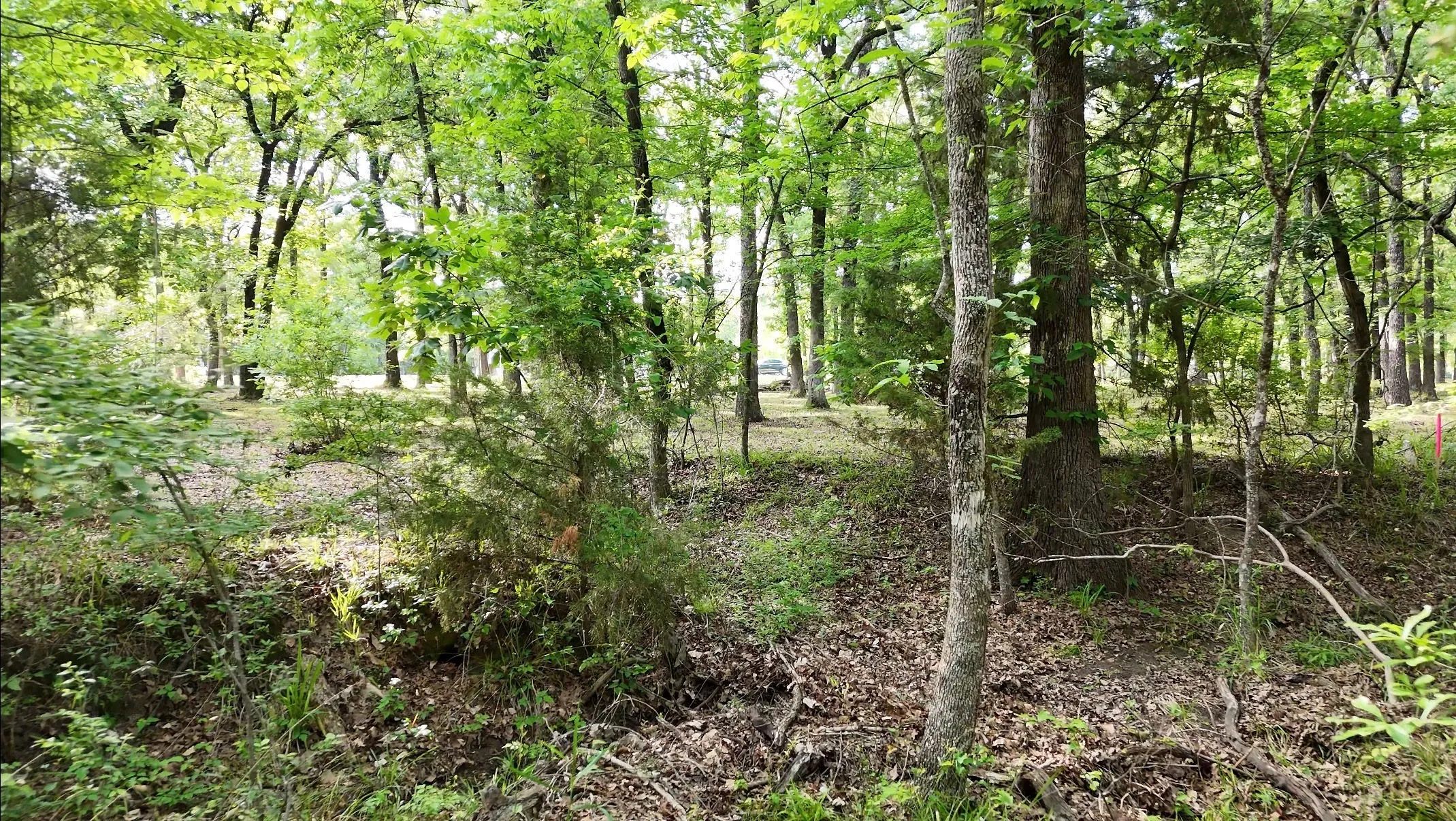 Unimproved Land For Sale in Hunt County , Lot 62 Anchor Point, Quinlan, Texas 75474, 0, 0, Garage spaces, 0 Sqft, built in 0, mls#21251883, Real Estate Agent in Quinlan, Homes For Sale in Hunt county, Homes For Sale in Quinlan, Realtor in Quinlan Texas, Real Estate Brokerage Independent Realty Texas, Luminita Cordes Realtor