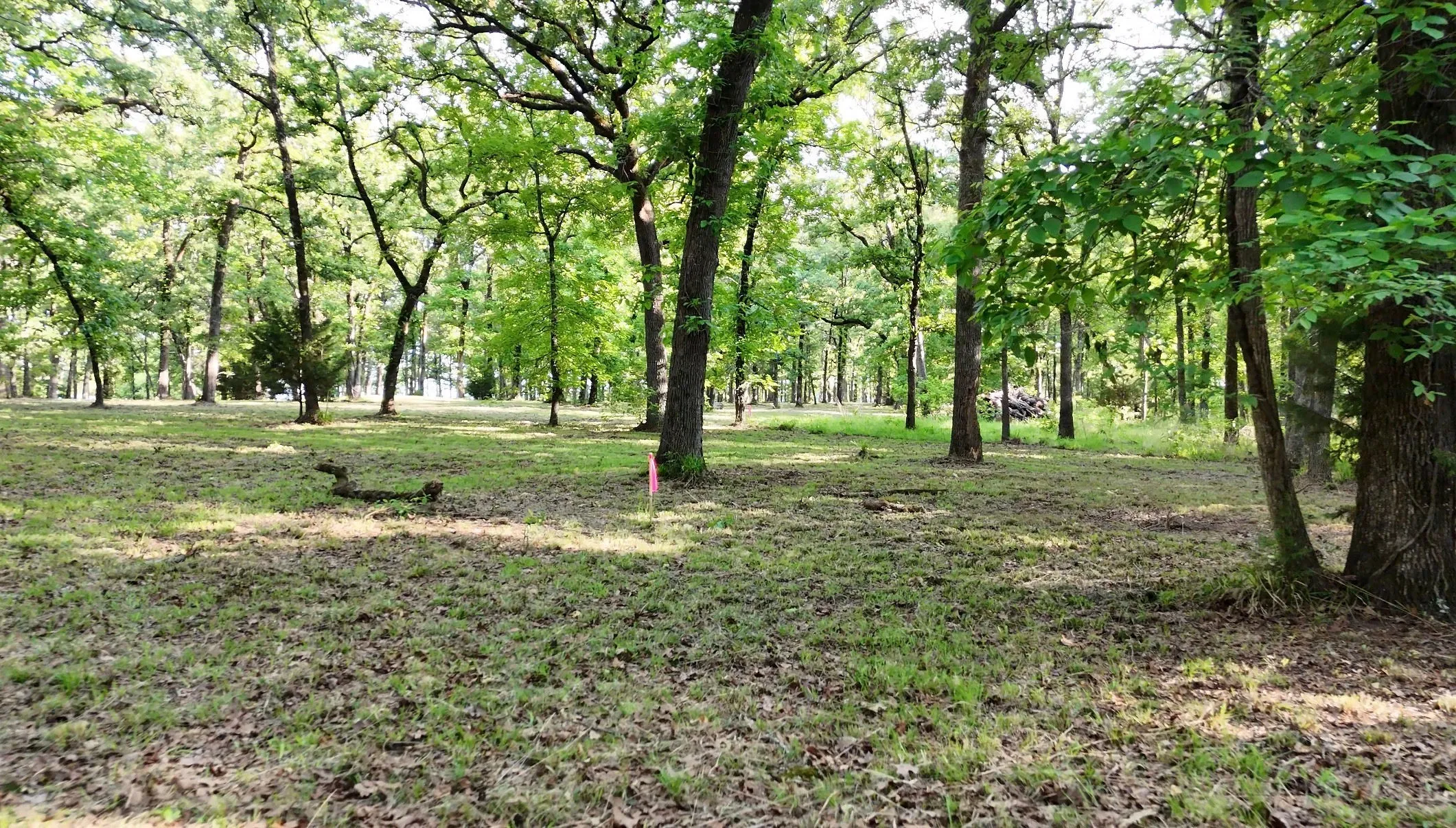 Unimproved Land For Sale in Hunt County , Lot 62 Anchor Point, Quinlan, Texas 75474, 0, 0, Garage spaces, 0 Sqft, built in 0, mls#21251883, Real Estate Agent in Quinlan, Homes For Sale in Hunt county, Homes For Sale in Quinlan, Realtor in Quinlan Texas, Real Estate Brokerage Independent Realty Texas, Luminita Cordes Realtor