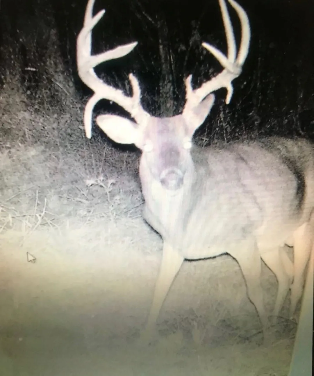 Improved Land For Sale in Red River (TX) County , 16513 FM 1159, Clarksville, Texas 75426, 0, 0, Garage spaces, 0 Sqft, built in 0, Price $150,000, mls#21254210, Real Estate Agent in Clarksville, Homes For Sale in Red River (TX) county, Homes For Sale in Clarksville, Realtor in Clarksville Texas, Real Estate Brokerage Independent Realty Texas, Luminita Cordes Realtor