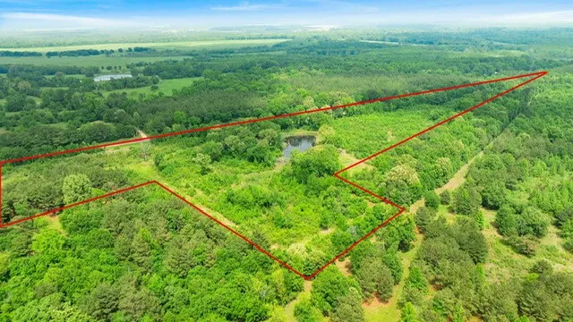 Improved Land For Sale in Red River (TX) County , 16513 FM 1159, Clarksville, Texas 75426, 0, 0, Garage spaces, 0 Sqft, built in 0, Price $150,000, mls#21254210, Real Estate Agent in Clarksville, Homes For Sale in Red River (TX) county, Homes For Sale in Clarksville, Realtor in Clarksville Texas, Real Estate Brokerage Independent Realty Texas, Luminita Cordes Realtor