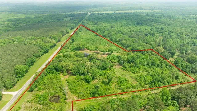 Improved Land For Sale in Red River (TX) County , 16513 FM 1159, Clarksville, Texas 75426, 0, 0, Garage spaces, 0 Sqft, built in 0, Price $150,000, mls#21254210, Real Estate Agent in Clarksville, Homes For Sale in Red River (TX) county, Homes For Sale in Clarksville, Realtor in Clarksville Texas, Real Estate Brokerage Independent Realty Texas, Luminita Cordes Realtor
