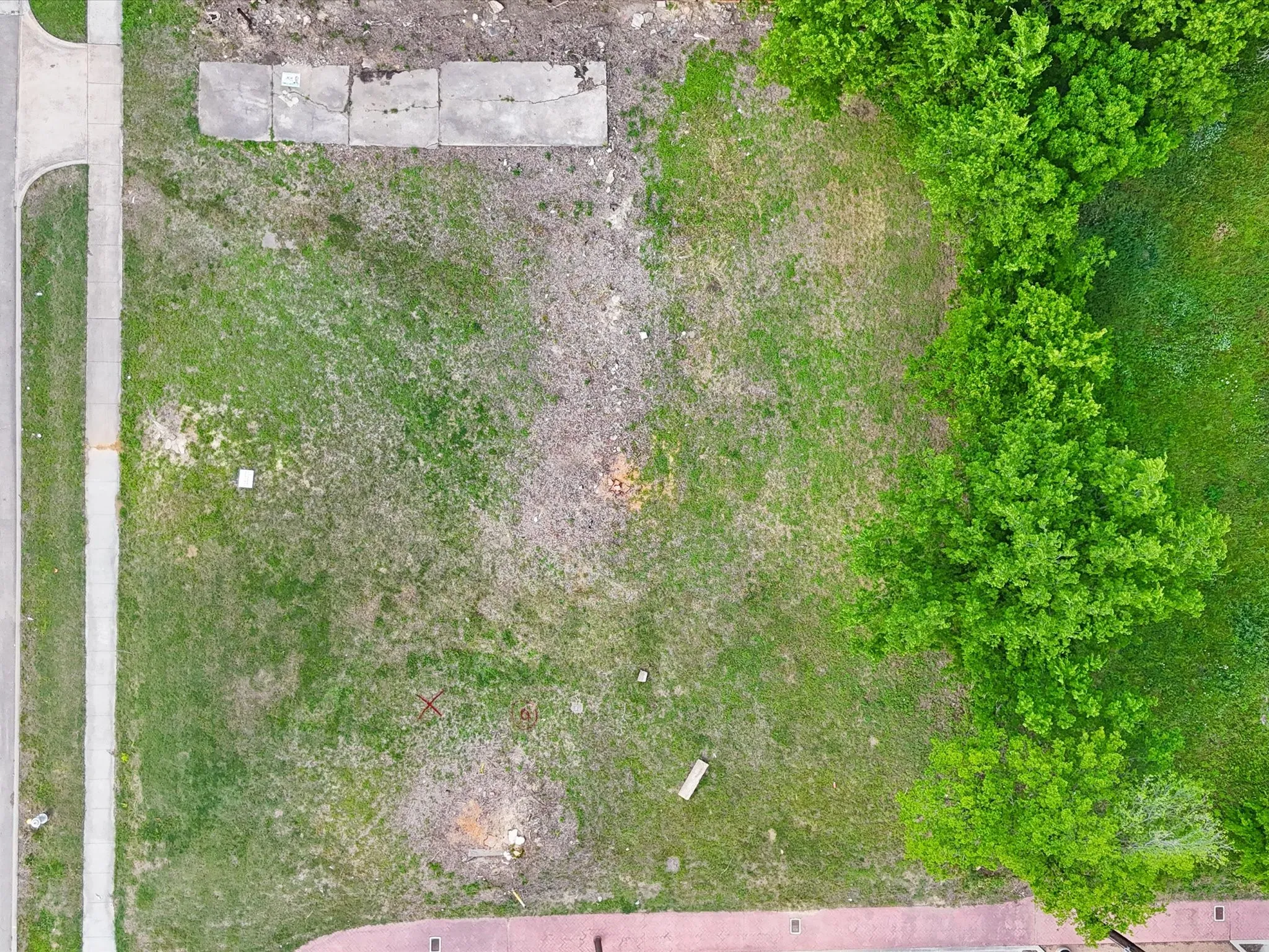 Expansive lot featuring a concrete sidewalk, mature trees, partial grass coverage, and a concrete pad