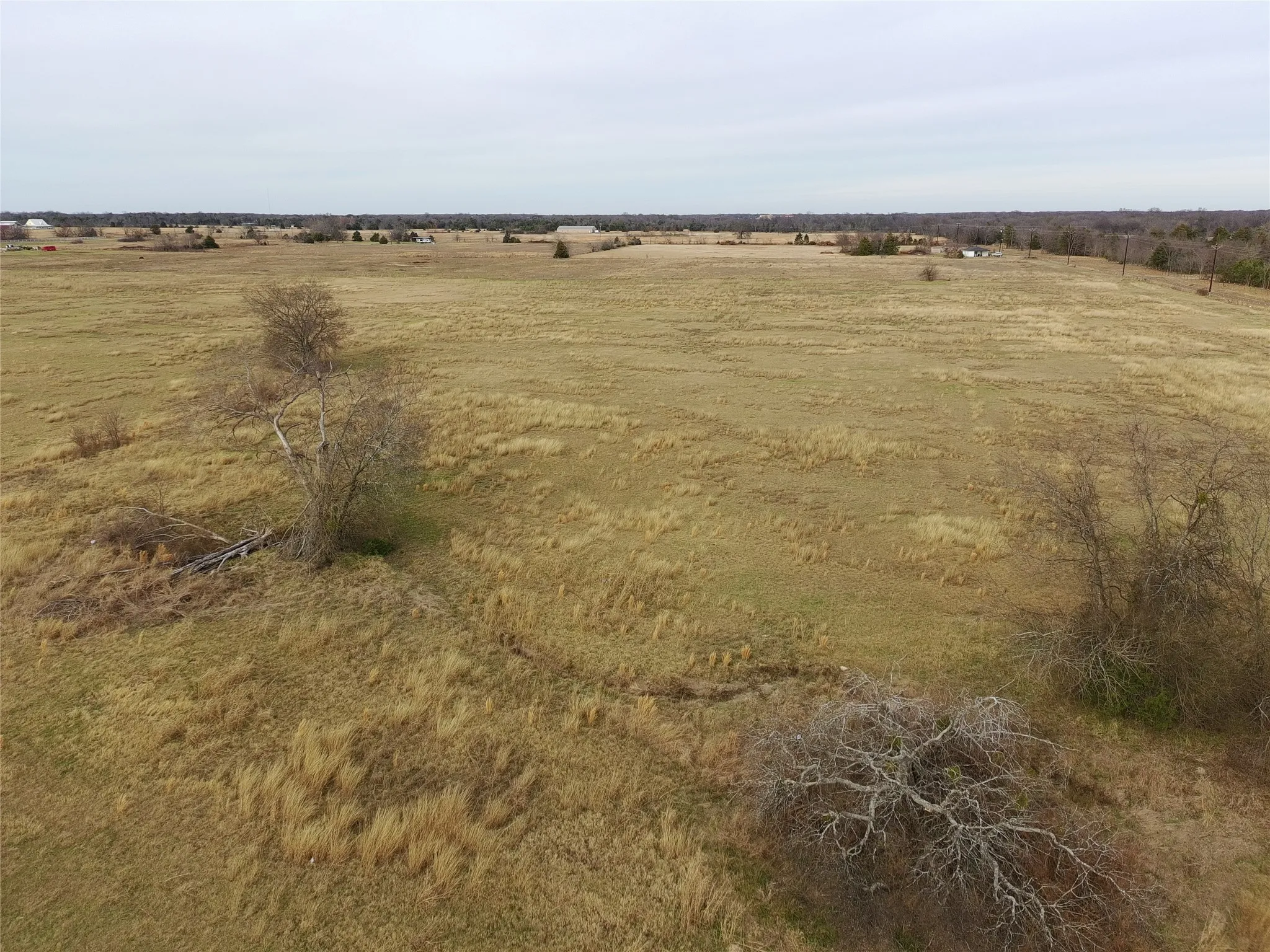 Unimproved Land For Sale in Hopkins County , 1562 County Road 4766 Road, Sulphur Springs, Texas 75482, 0, 0, Garage spaces, 0 Sqft, built in 0, mls#21254829, Real Estate Agent in Sulphur Springs, Homes For Sale in Hopkins county, Homes For Sale in Sulphur Springs, Realtor in Sulphur Springs Texas, Real Estate Brokerage Independent Realty Texas, Luminita Cordes Realtor