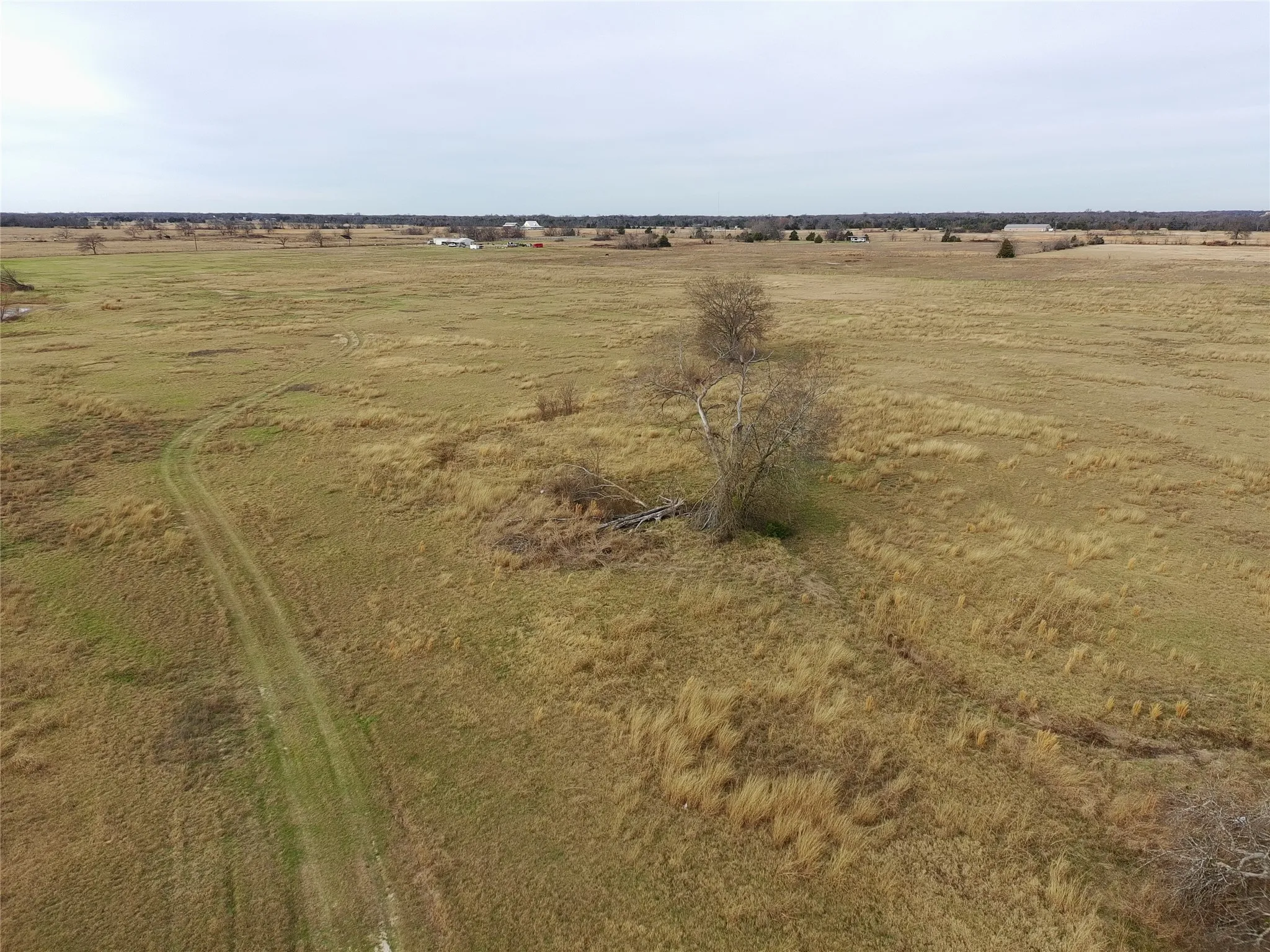 Unimproved Land For Sale in Hopkins County , 1562 County Road 4766 Road, Sulphur Springs, Texas 75482, 0, 0, Garage spaces, 0 Sqft, built in 0, mls#21254829, Real Estate Agent in Sulphur Springs, Homes For Sale in Hopkins county, Homes For Sale in Sulphur Springs, Realtor in Sulphur Springs Texas, Real Estate Brokerage Independent Realty Texas, Luminita Cordes Realtor