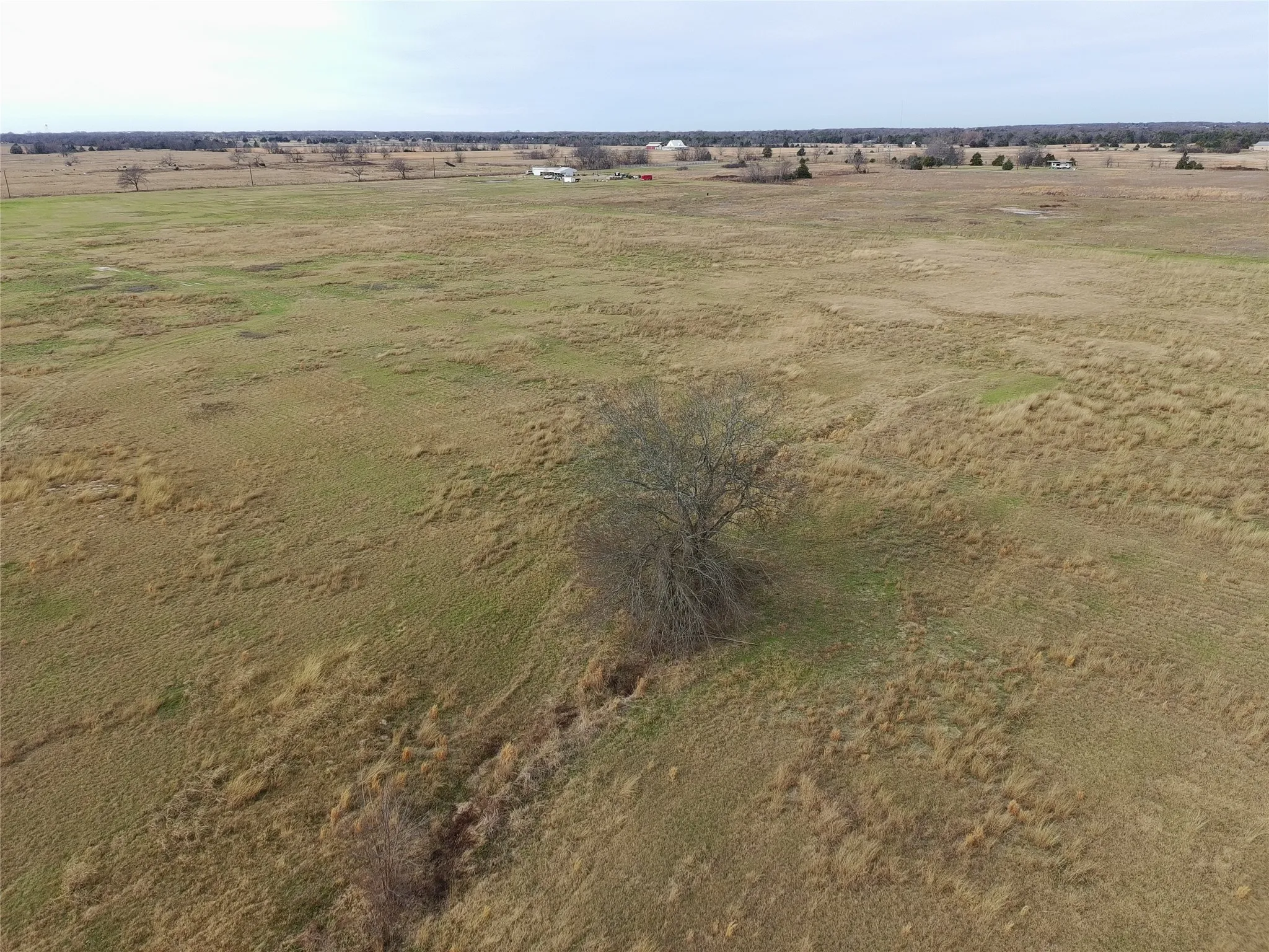 Unimproved Land For Sale in Hopkins County , 1562 County Road 4766 Road, Sulphur Springs, Texas 75482, 0, 0, Garage spaces, 0 Sqft, built in 0, mls#21254829, Real Estate Agent in Sulphur Springs, Homes For Sale in Hopkins county, Homes For Sale in Sulphur Springs, Realtor in Sulphur Springs Texas, Real Estate Brokerage Independent Realty Texas, Luminita Cordes Realtor