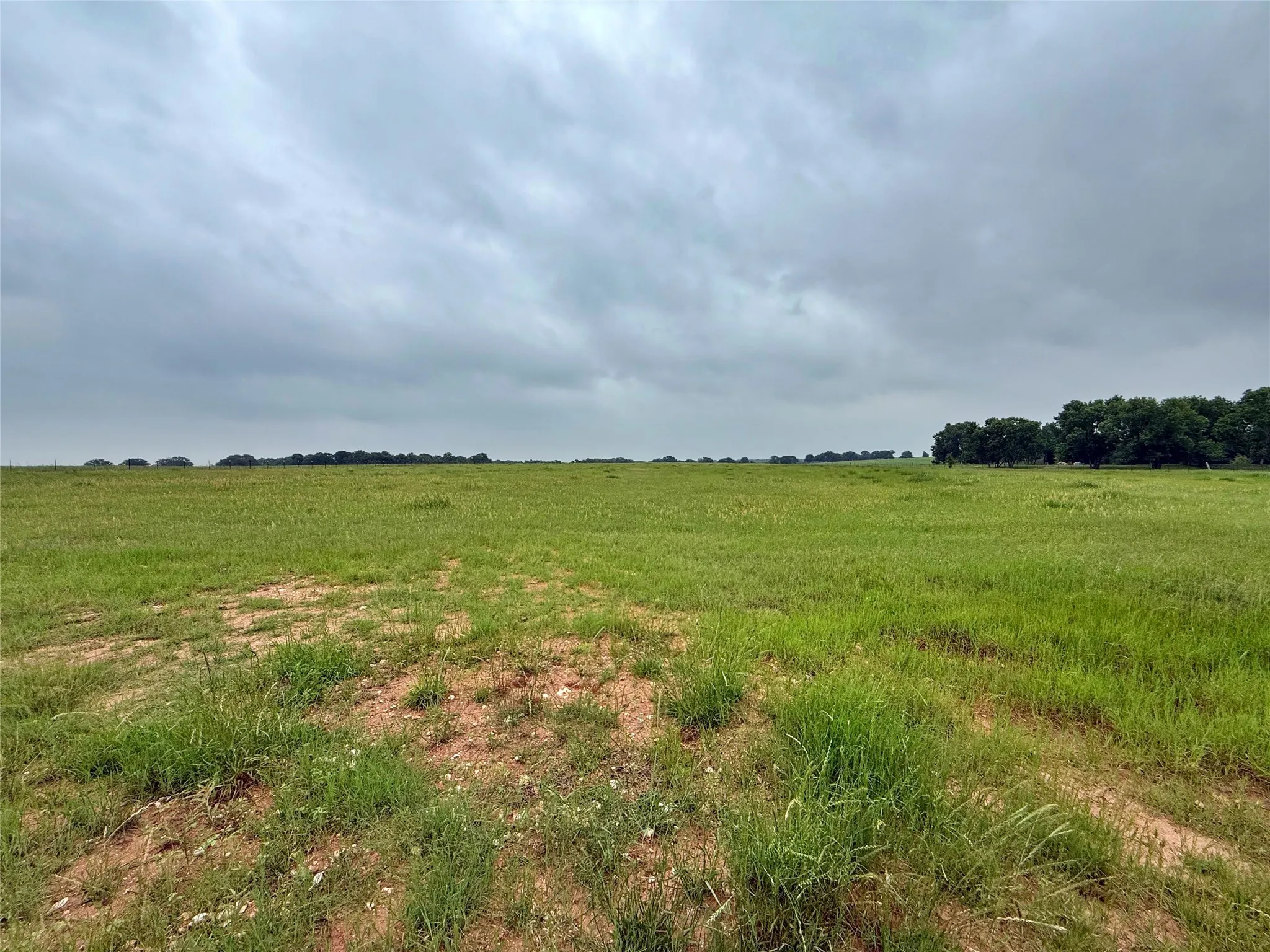 Unimproved Land For Sale in Hill County , FM 1304, Aquilla, Texas 76622, 0, 0, Garage spaces, 0 Sqft, built in 0, mls#21251797, Real Estate Agent in Aquilla, Homes For Sale in Hill county, Homes For Sale in Aquilla, Realtor in Aquilla Texas, Real Estate Brokerage Independent Realty Texas, Luminita Cordes Realtor