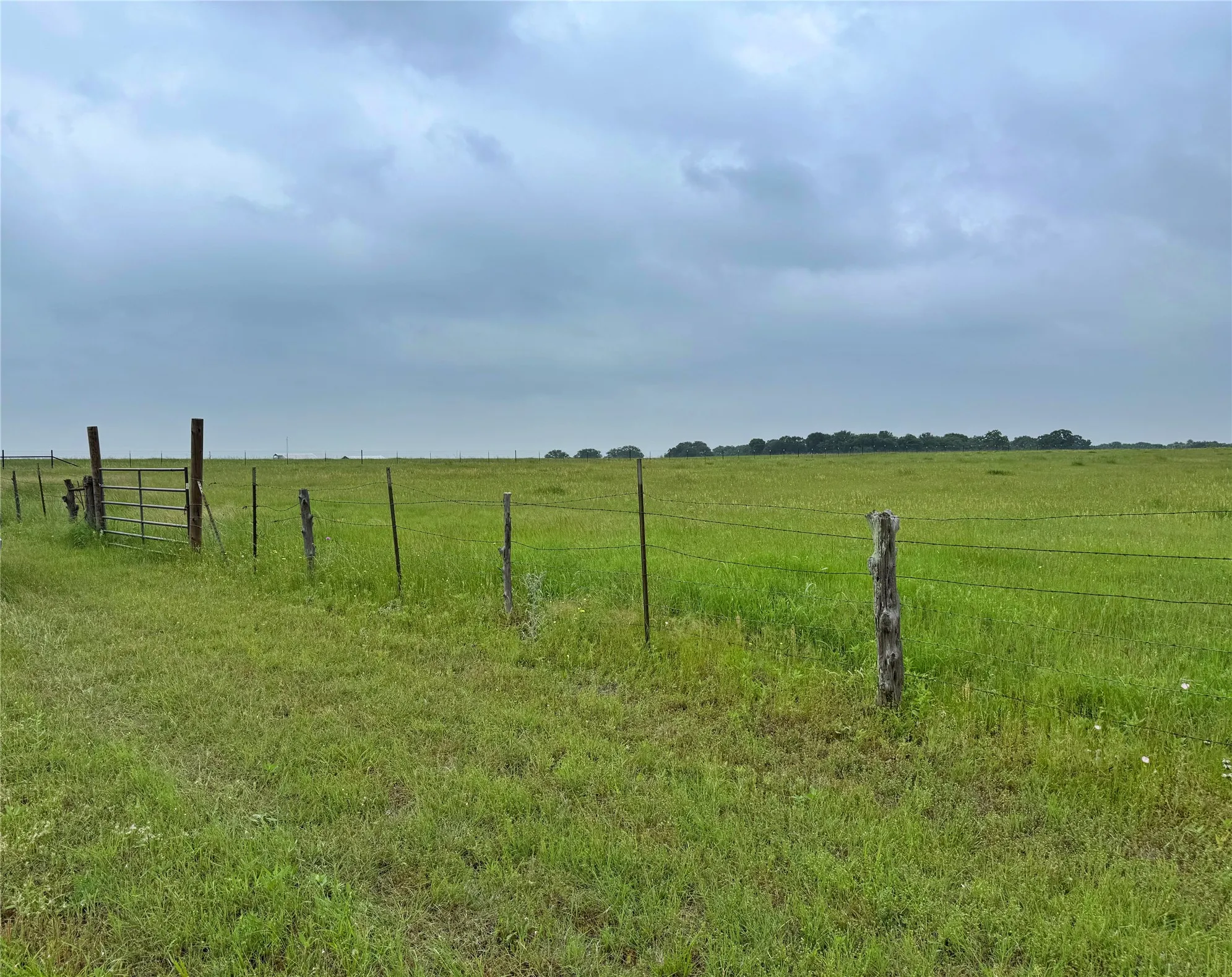 Unimproved Land For Sale in Hill County , FM 1304, Aquilla, Texas 76622, 0, 0, Garage spaces, 0 Sqft, built in 0, mls#21251797, Real Estate Agent in Aquilla, Homes For Sale in Hill county, Homes For Sale in Aquilla, Realtor in Aquilla Texas, Real Estate Brokerage Independent Realty Texas, Luminita Cordes Realtor
