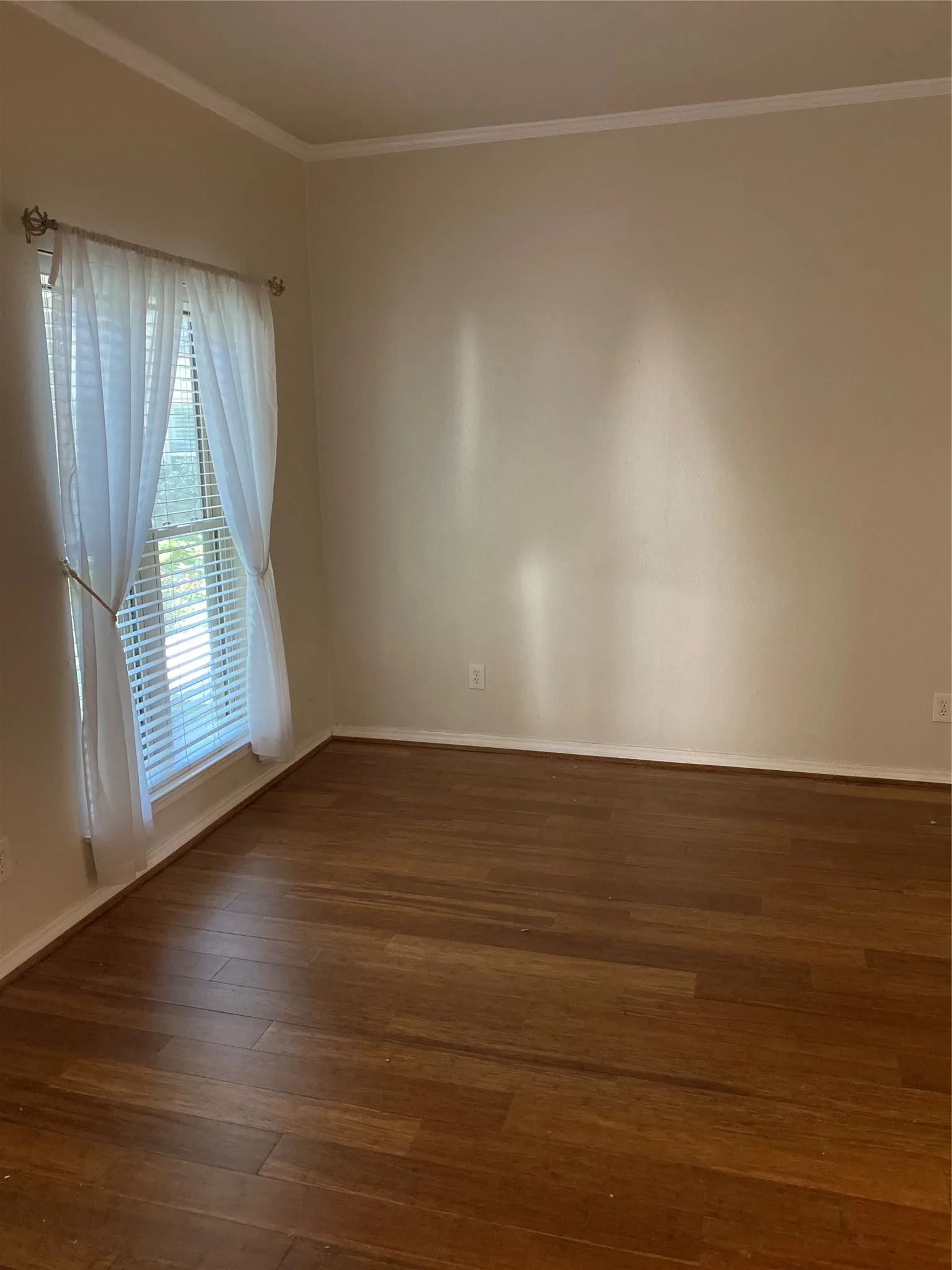 Wood-finish flooring with crown molding and a window featuring blinds