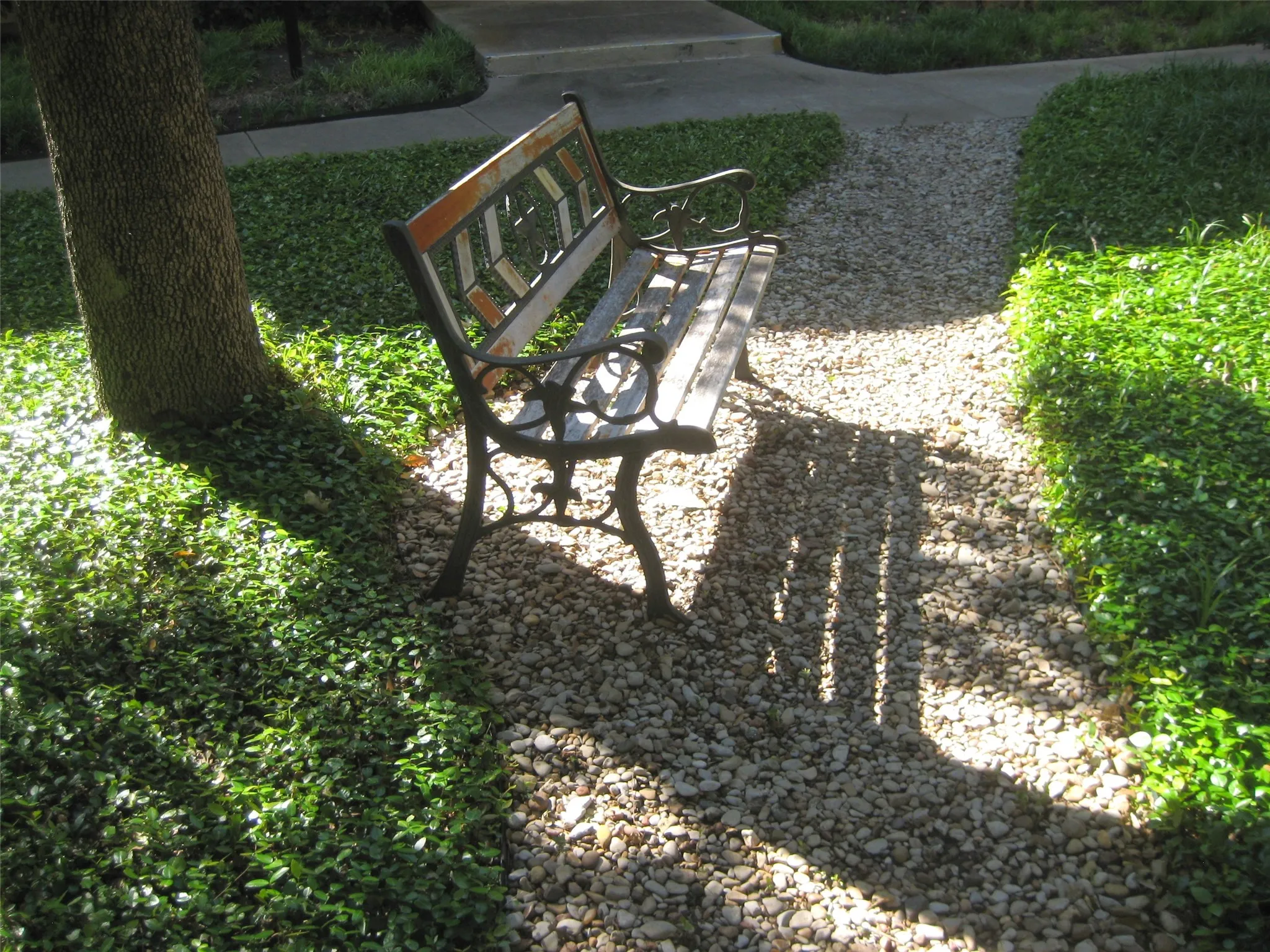 Courtyard outside back door