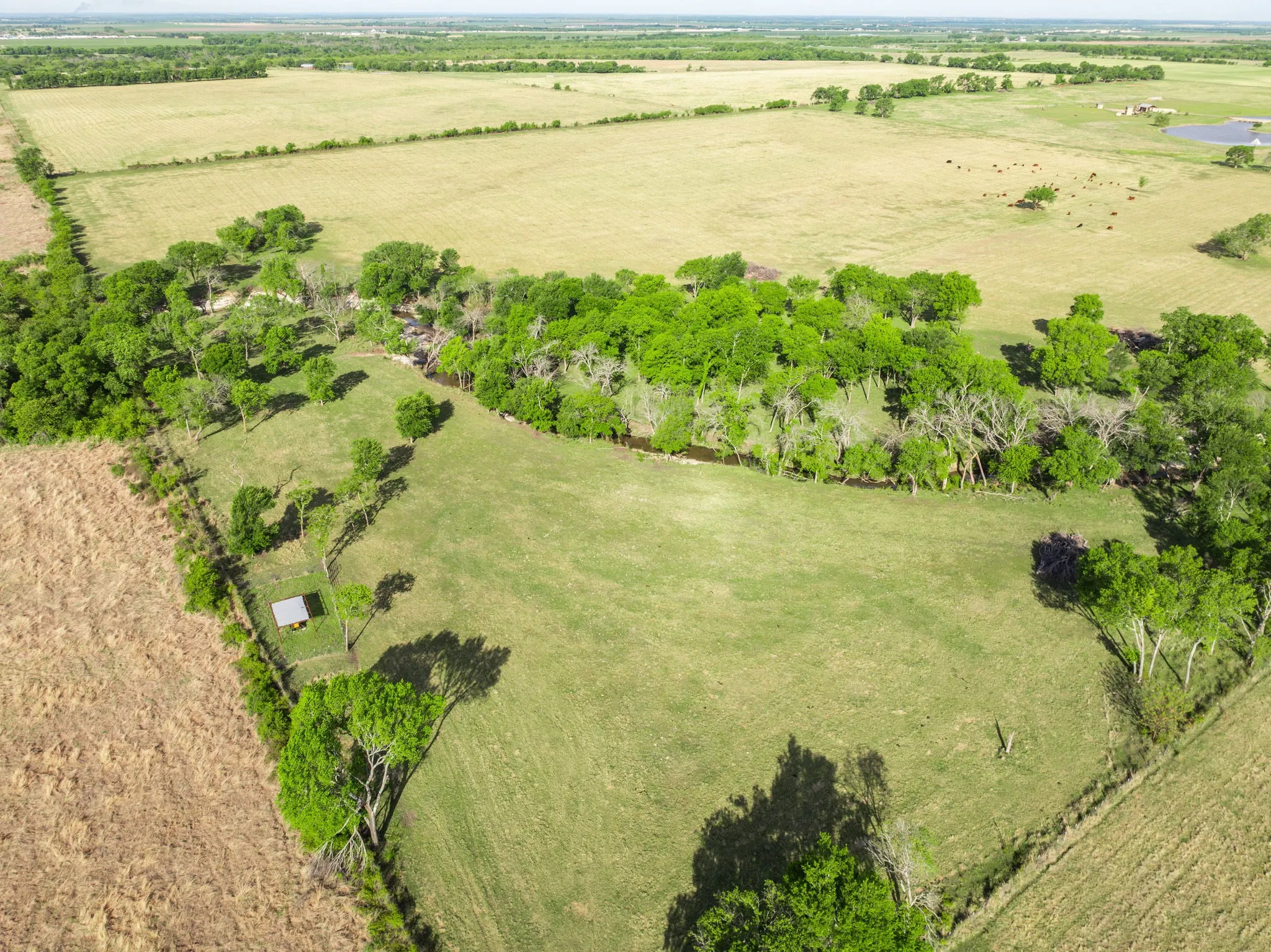 Farm For Sale in Hill County , 887 Hcr. 3110 N, Abbott, Texas 76621, 6 Bedroom, 6 Bathroom, 6 Garage spaces, 6,514 Sqft, built in 2001, Preowned, Price $4,693,600, mls#21248972, Real Estate Agent in Abbott, Homes For Sale in Hill county, Homes For Sale in Abbott, Realtor in Abbott Texas, Real Estate Brokerage Independent Realty Texas, Luminita Cordes Realtor
