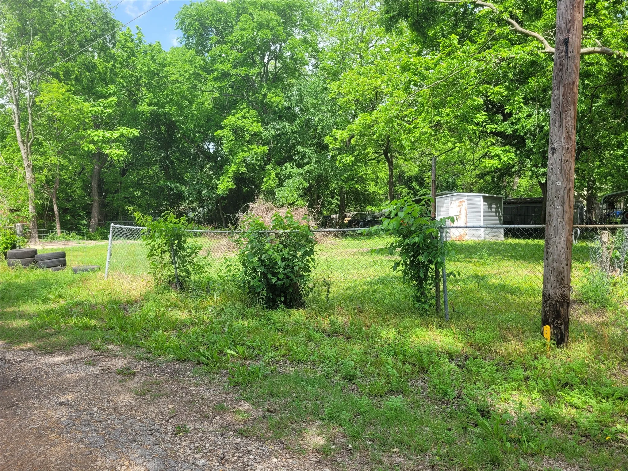back yard