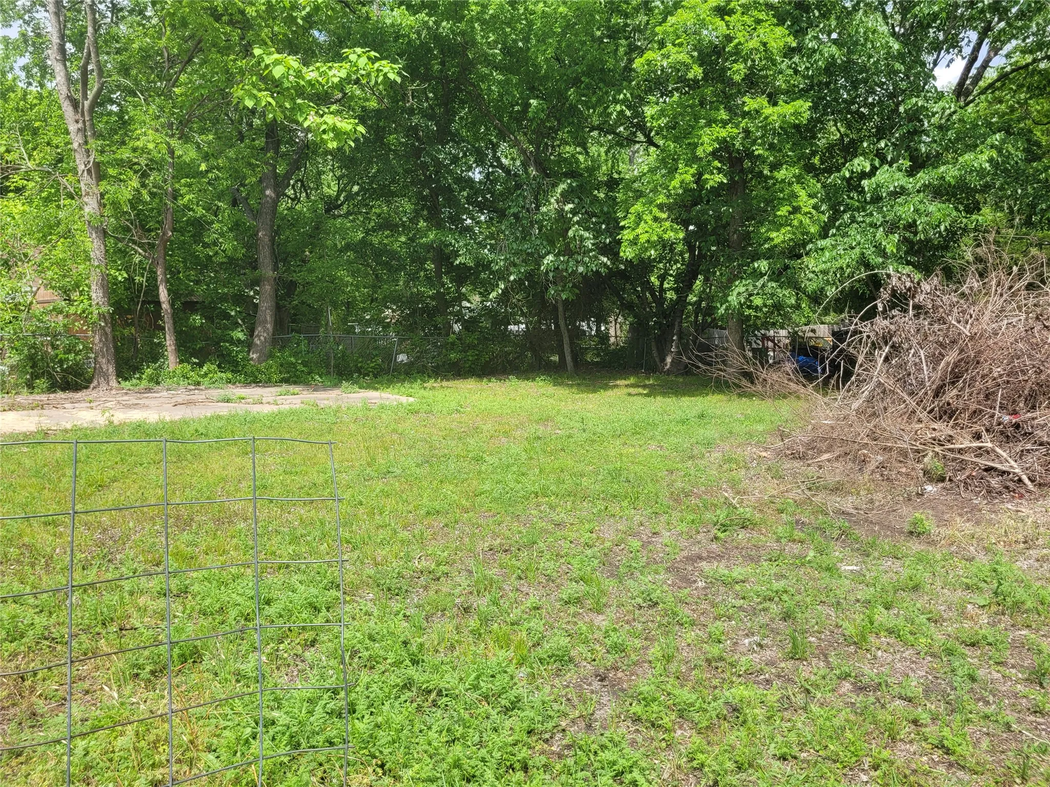 back yard